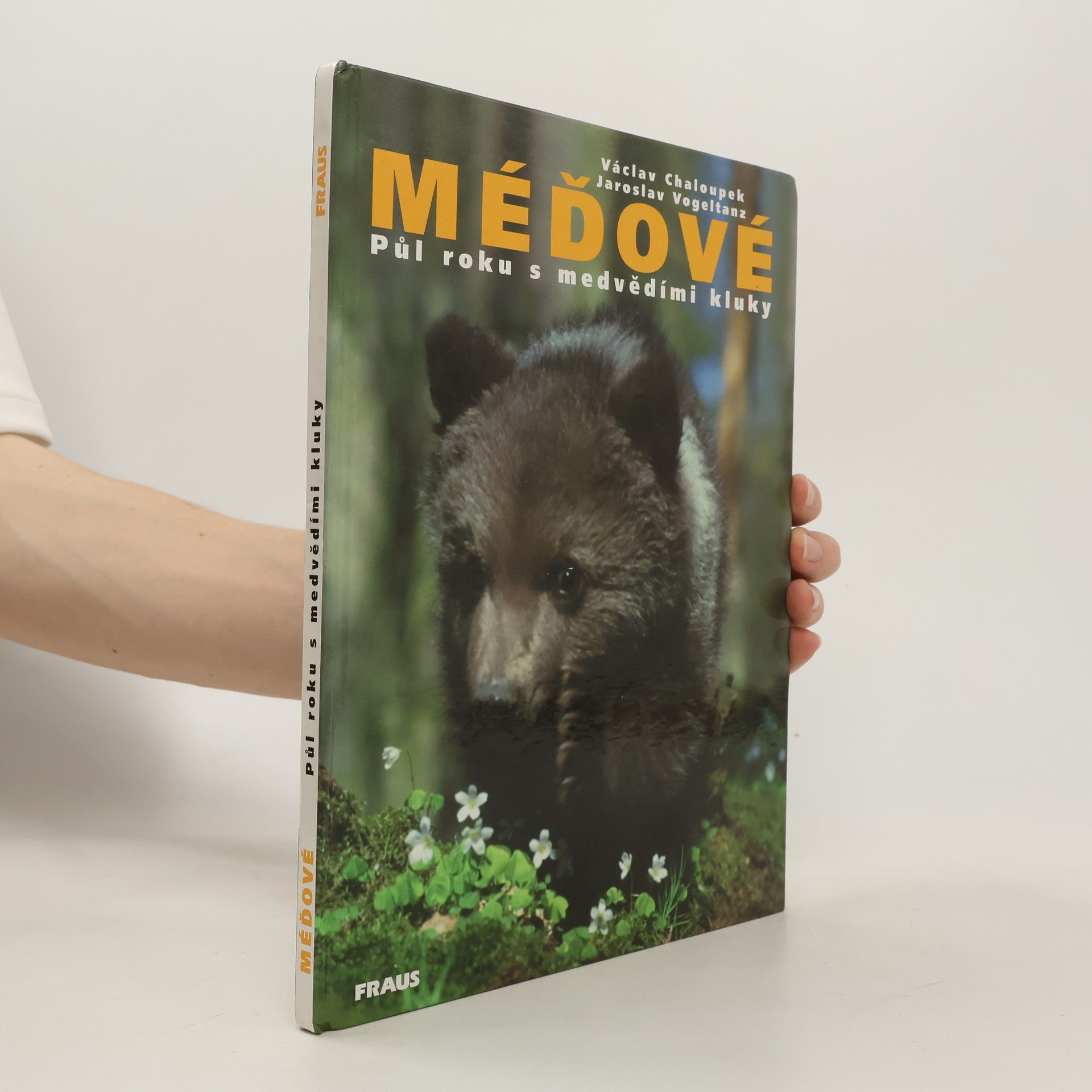Václav Chaloupek Méďové. Půl roku s medvědími kluky