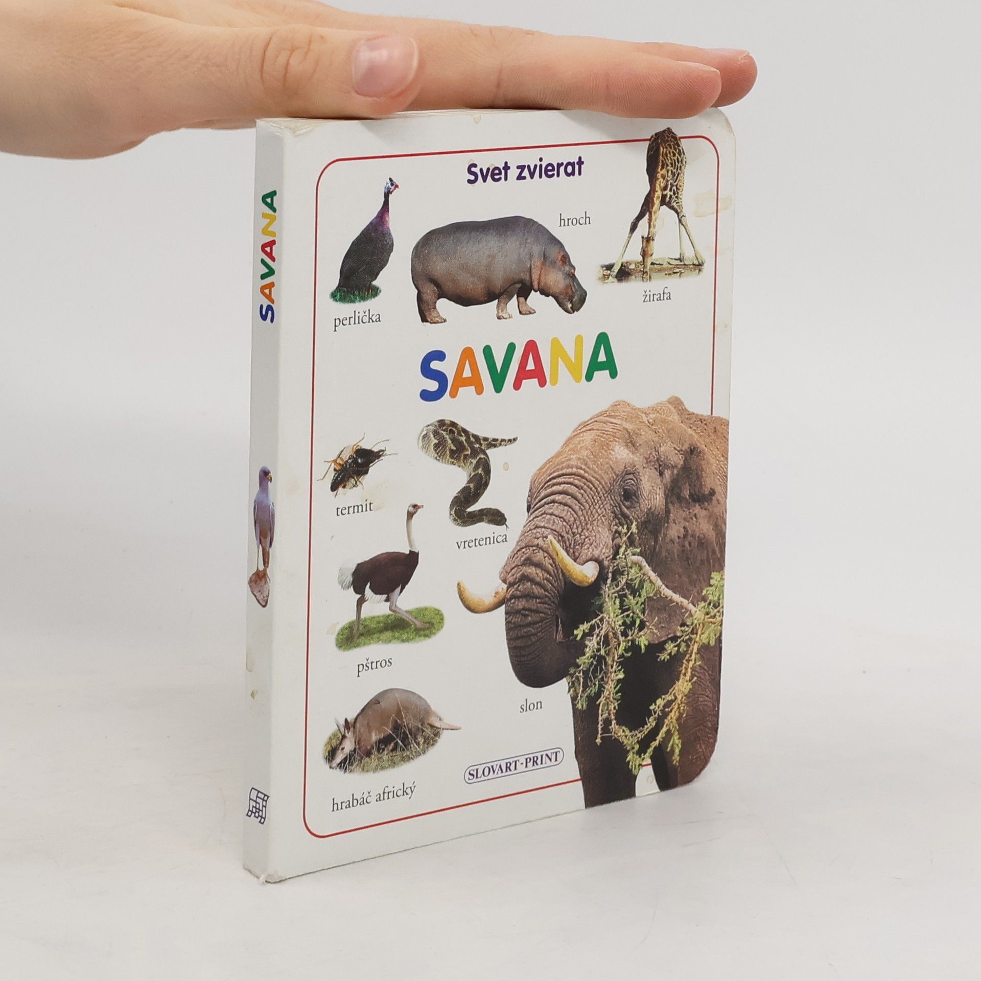 kolektiv Savana