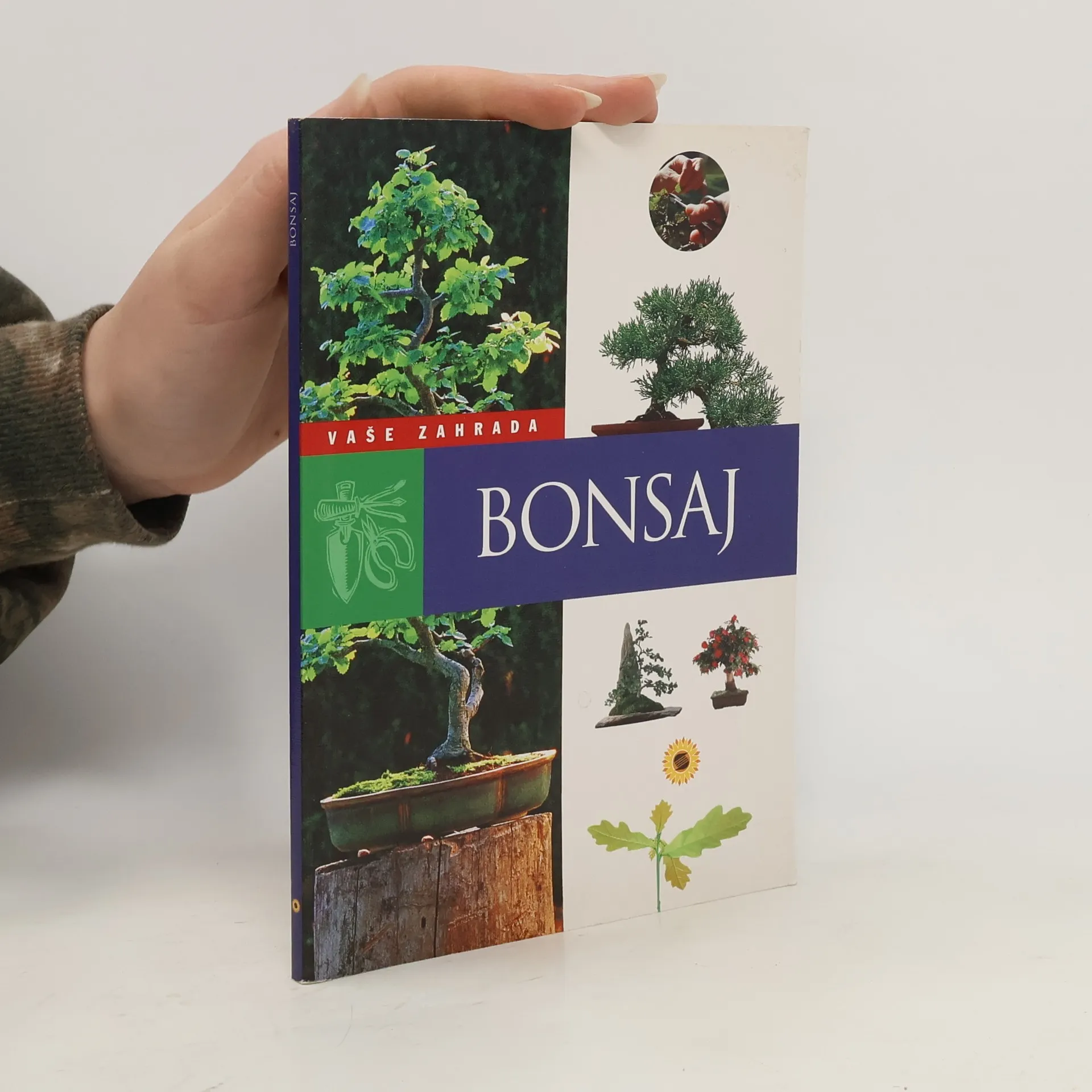 Bonsaj | Kniha | mäkká | kolektiv | CS