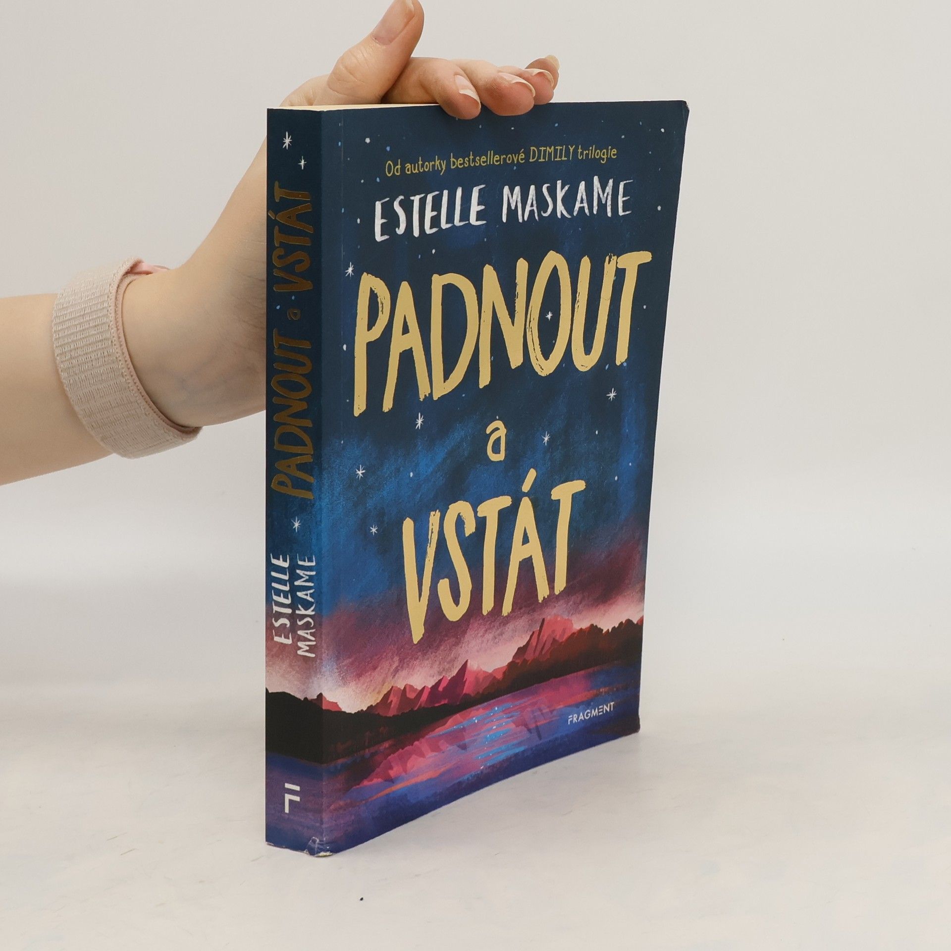 Estelle Maskame Padnout a vstát