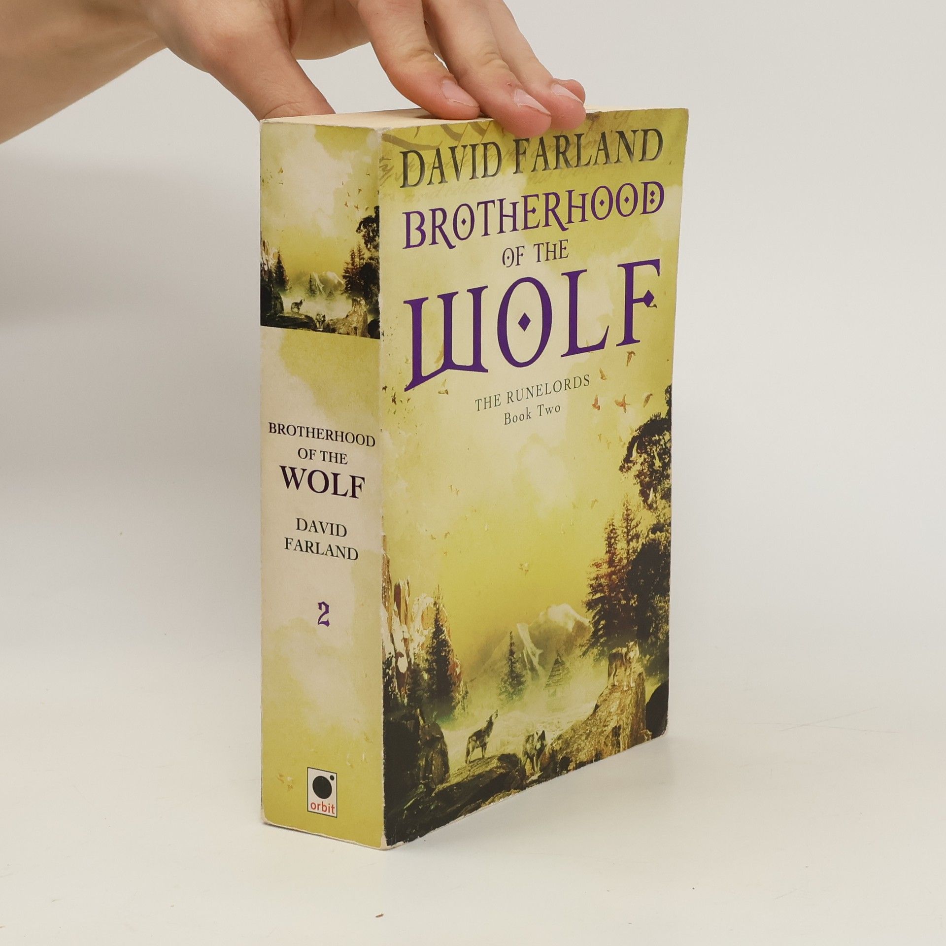 David Farland Brotherhood of the Wolf