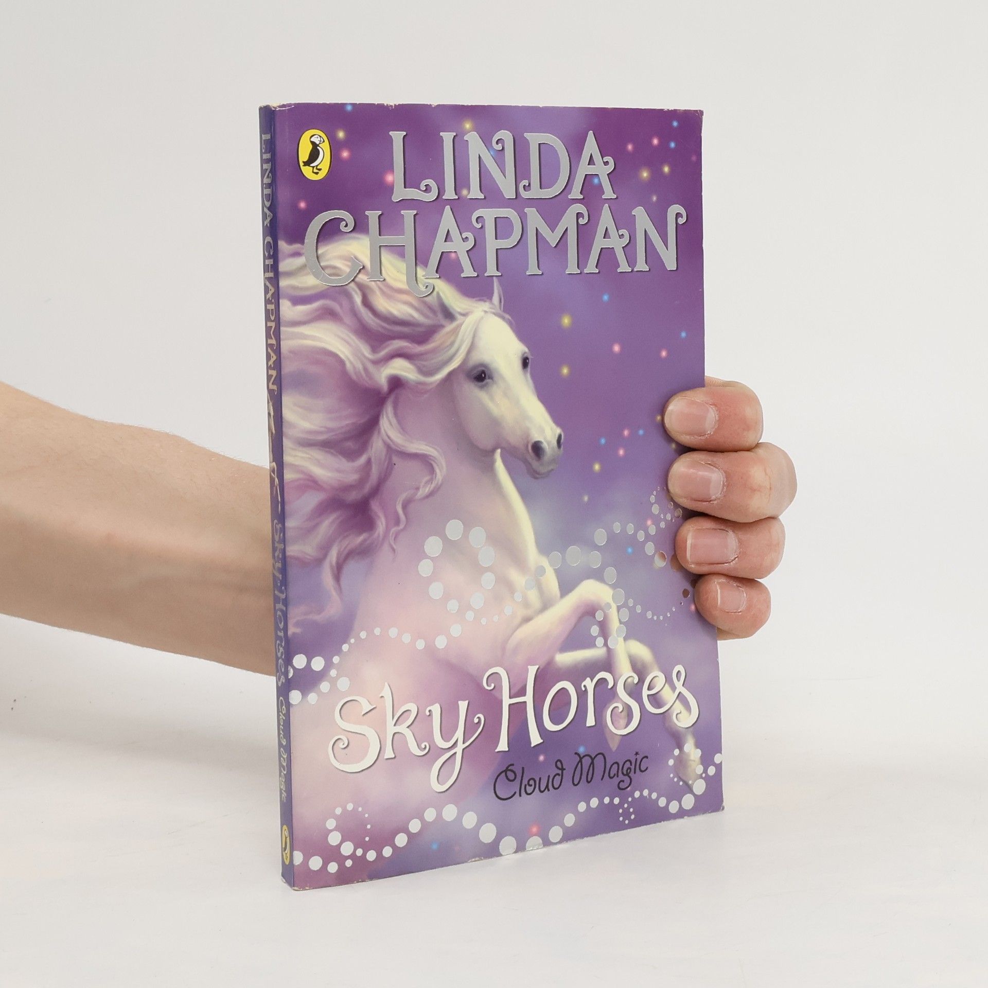 Linda Chapman Sky Horses