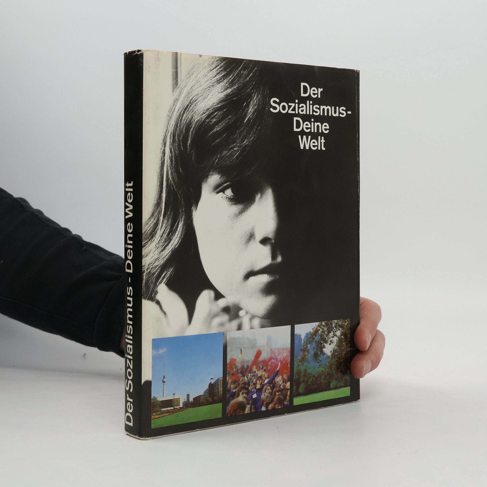 Kolektiv autorů Der Sozialismus - Deine Welt