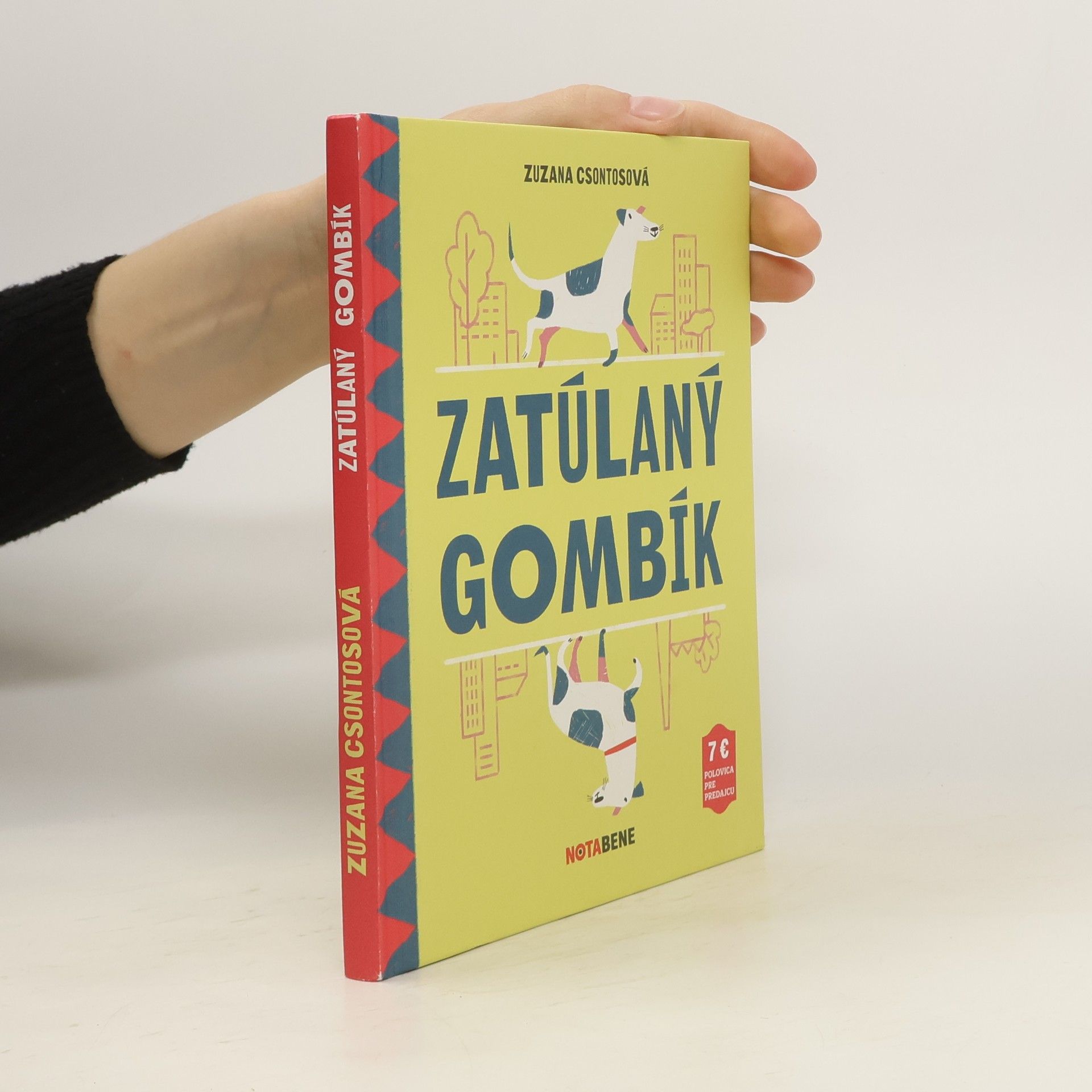 Zuzana Csontosová Zatúlaný gombík