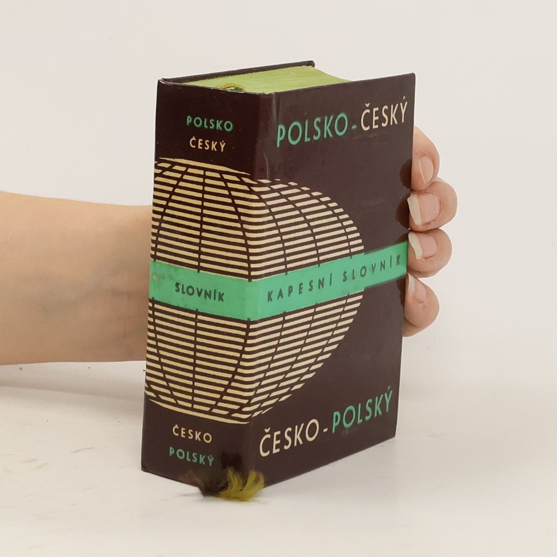 Kolektiv autorů Polsko-český, česko-polský kapesní slovník