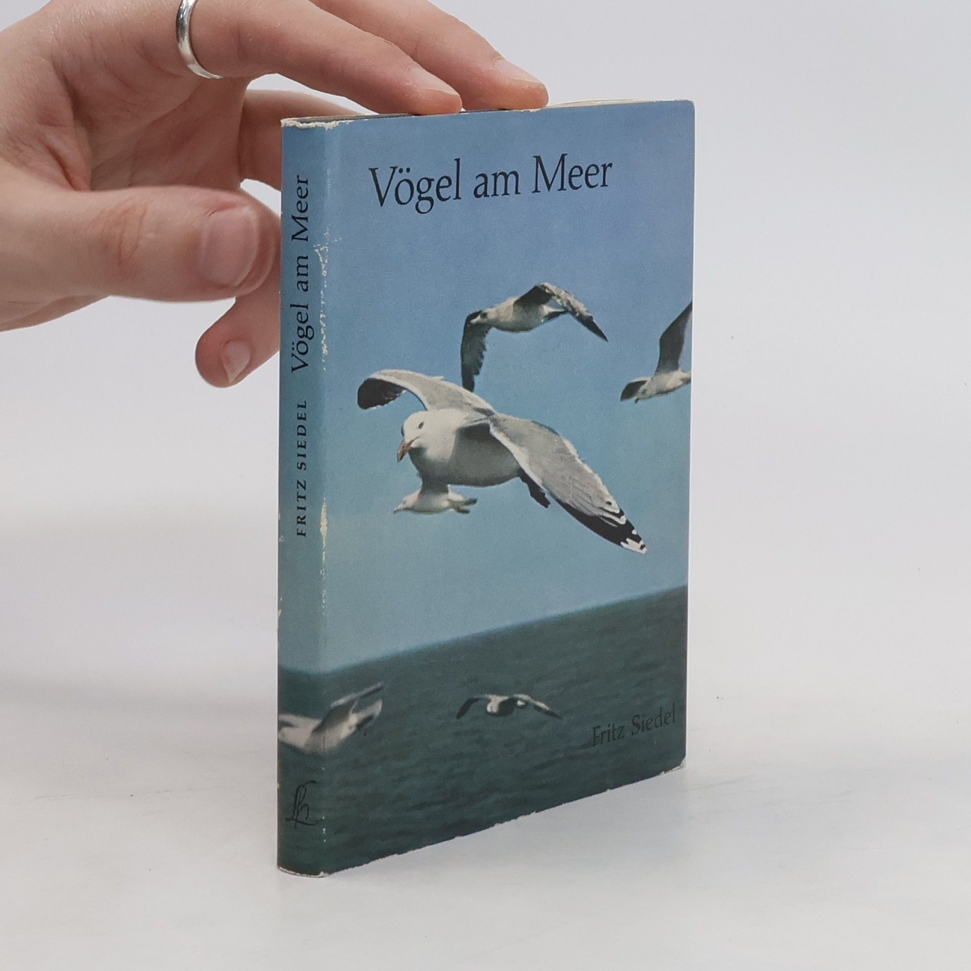 Fritz Siedel Vögel am Meer