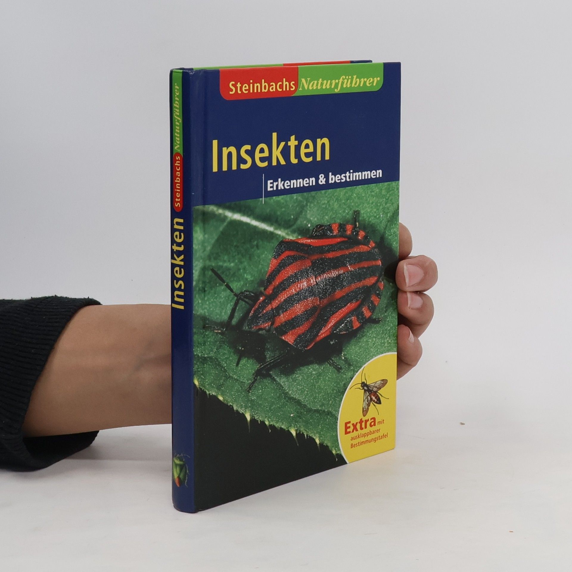 Autorenkollektiv Insekten. Erkennen und Bestimmen