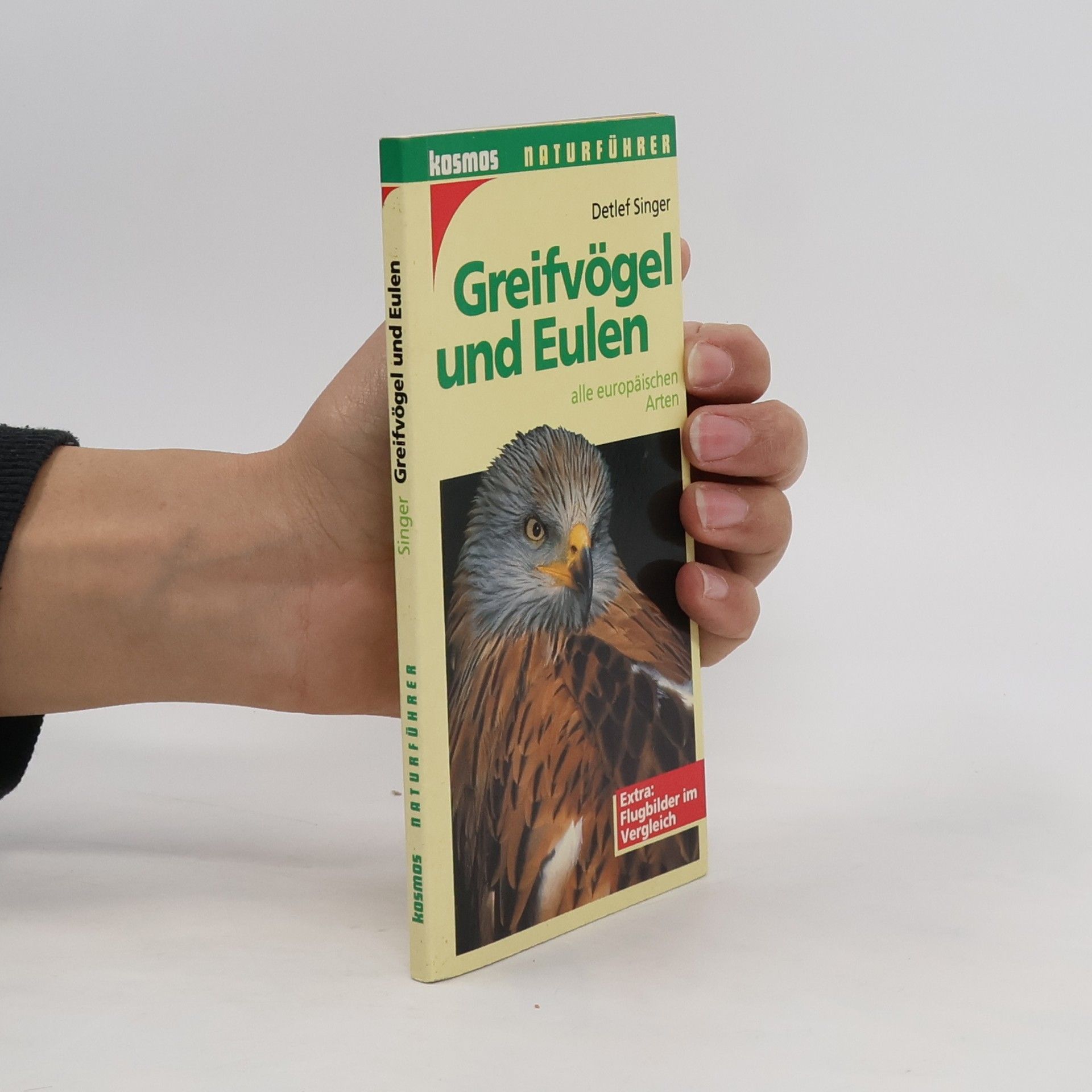 Detlef Singer Greifvögel und Eulen