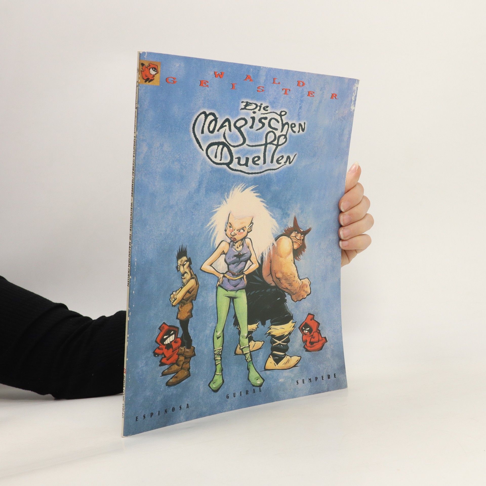 Kolektiv autorů Die magischen Quellen