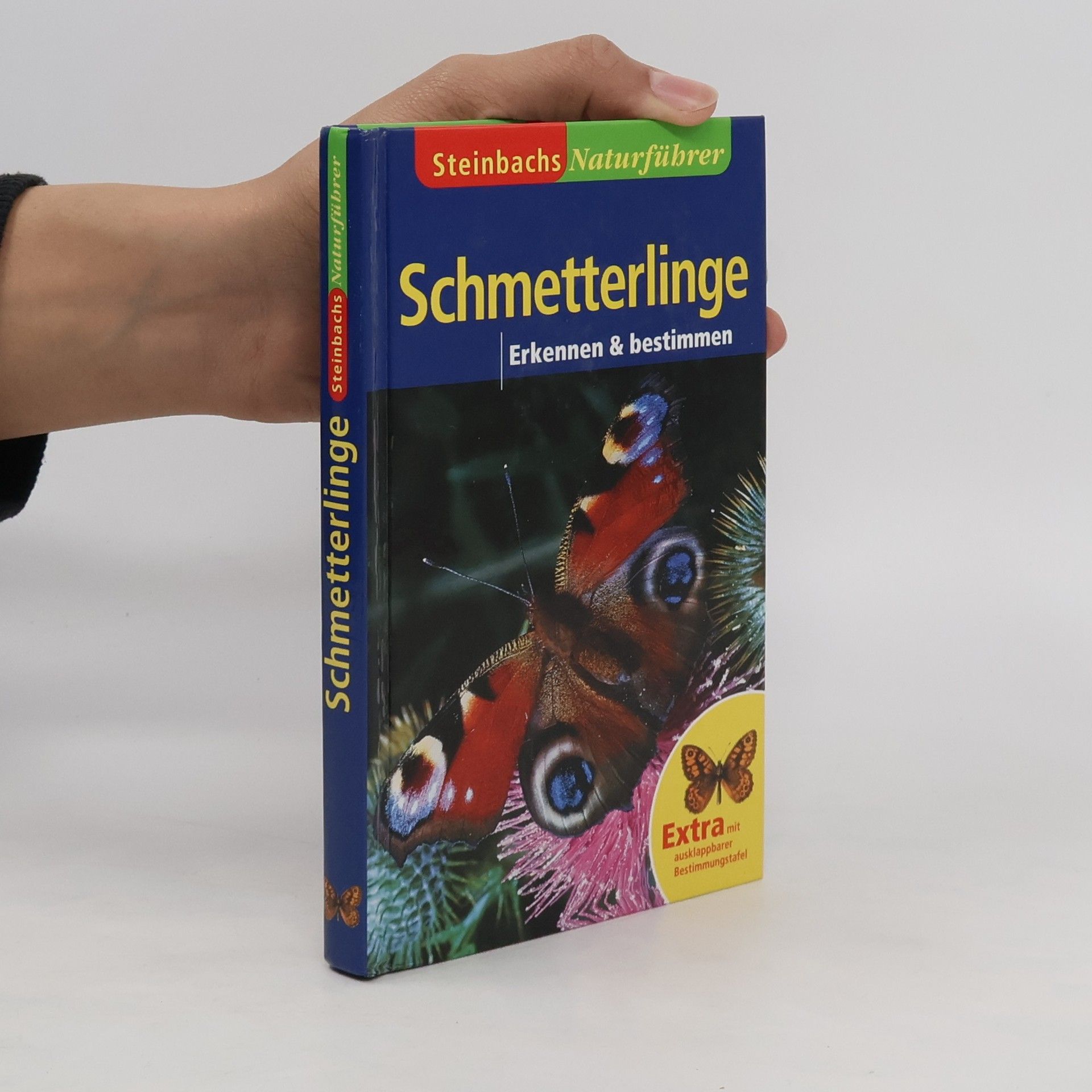 Autorenkollektiv Schmetterlinge