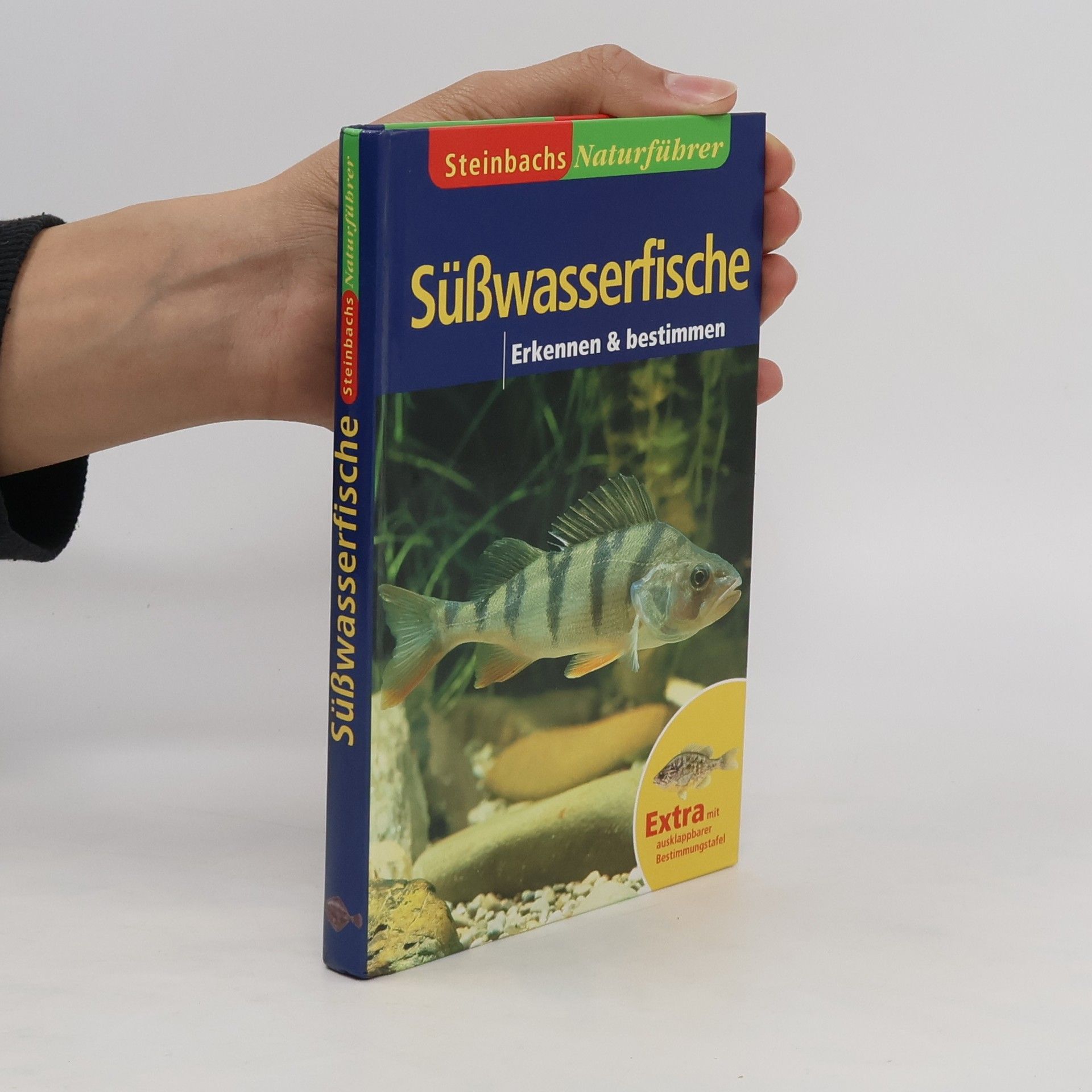 Collectif d'auteurs Süßwasserfische. Erkennen & bestimmen