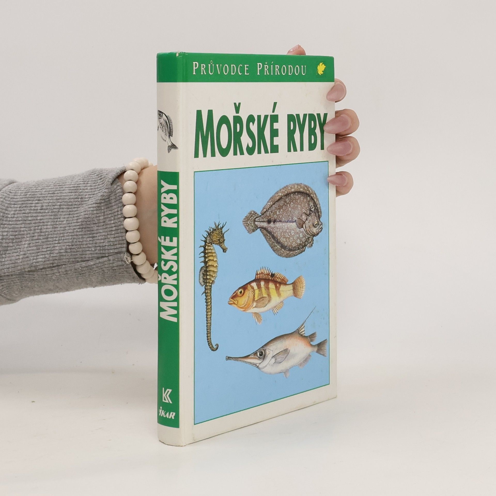 Sauer Frieder Mořské ryby v evropských vodách