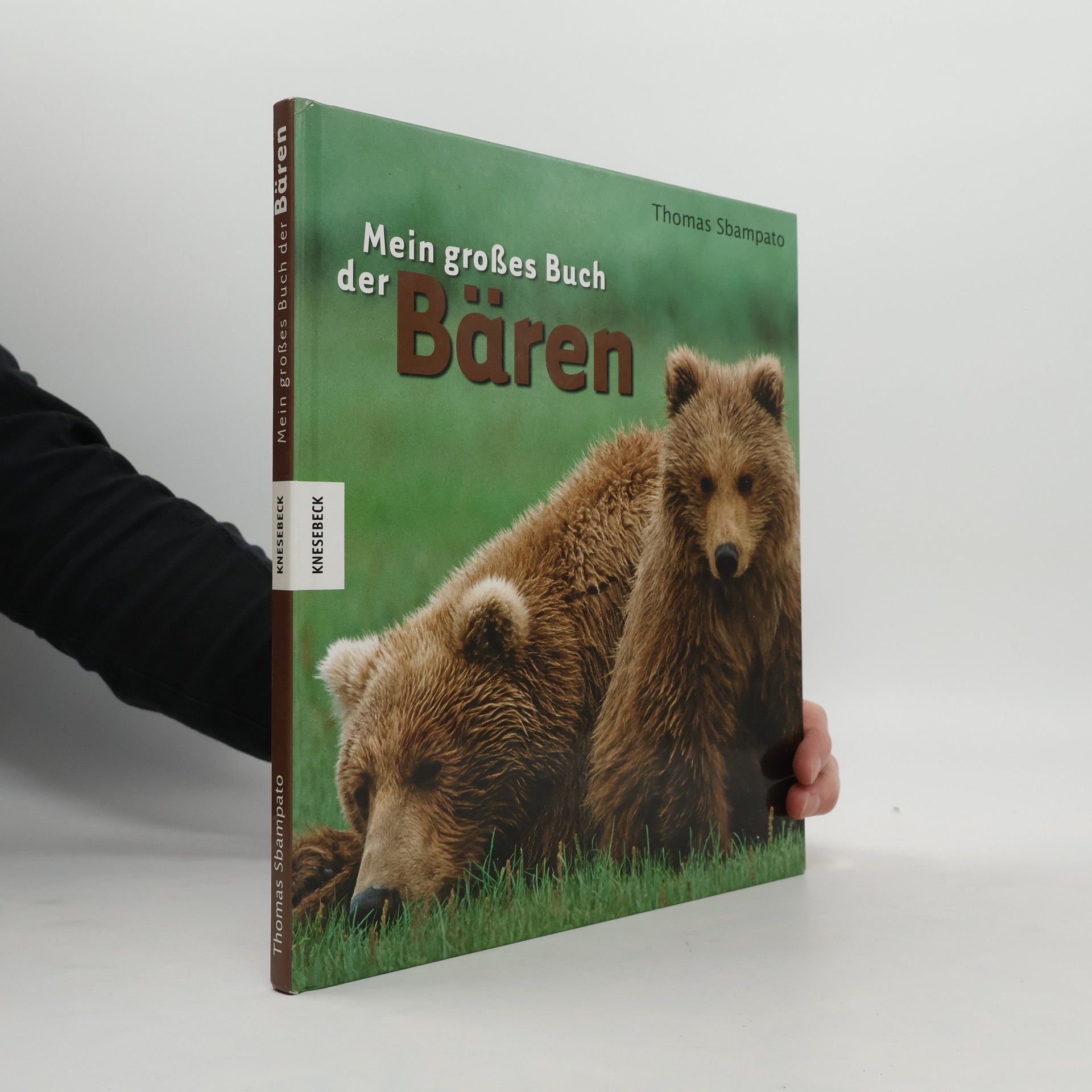 Thomas Sbampato Mein großes Buch der Bären