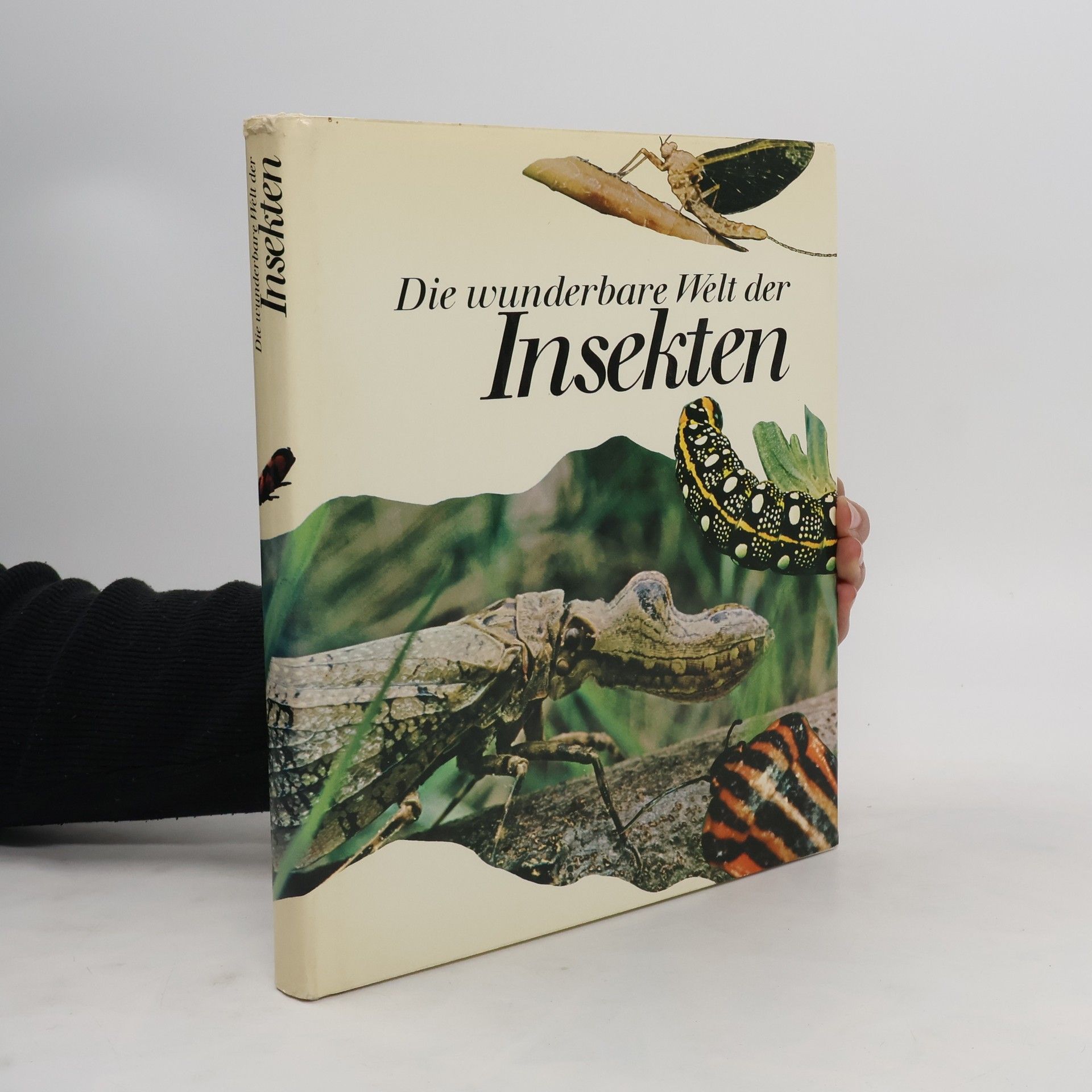 Michel Haguenoer Die wunderbare Welt der Insekten