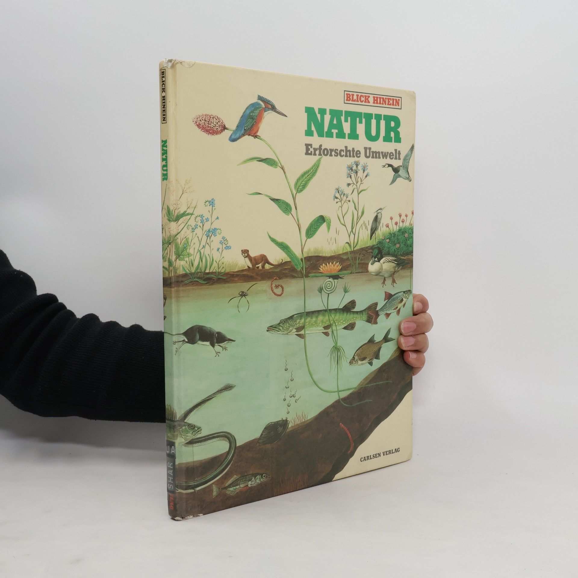 David J. Sharp Natur