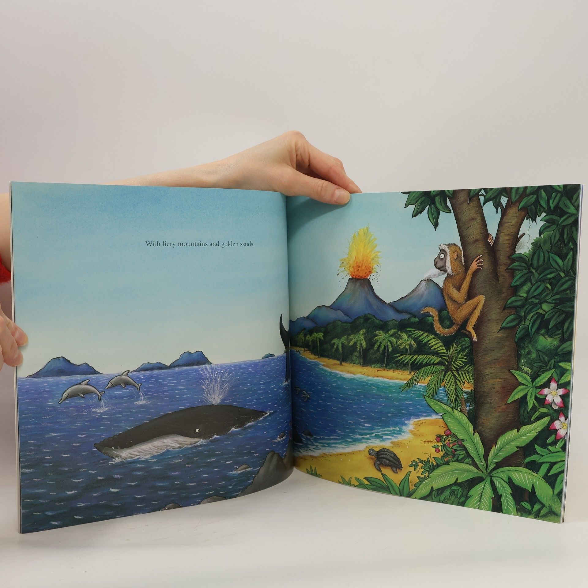Julia Donaldson The snail and the whale