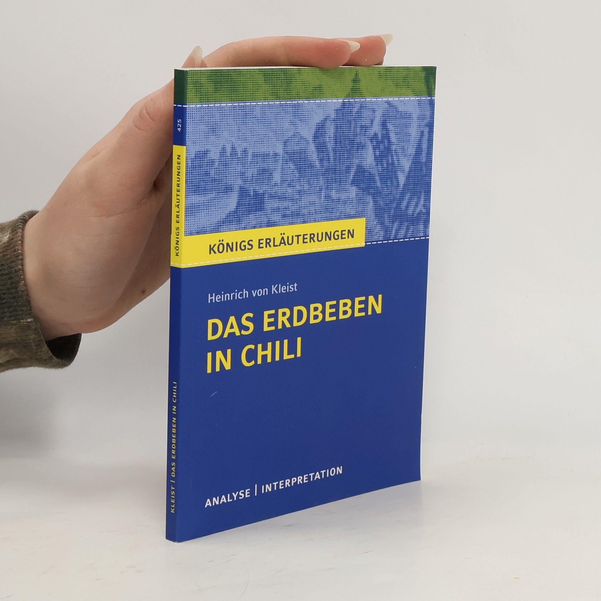 Hans-Georg Schede Das Erdbeben in Chili von Heinrich von Kleist