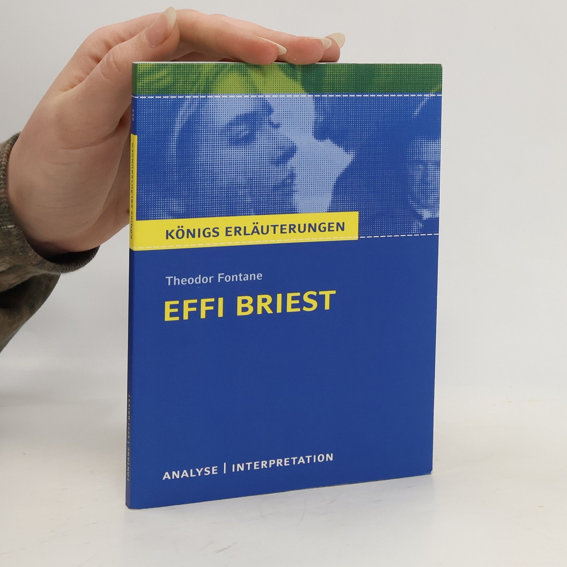 Thomas Brand Textanalyse und Interpretation zu Theodor Fontane, Effi Briest