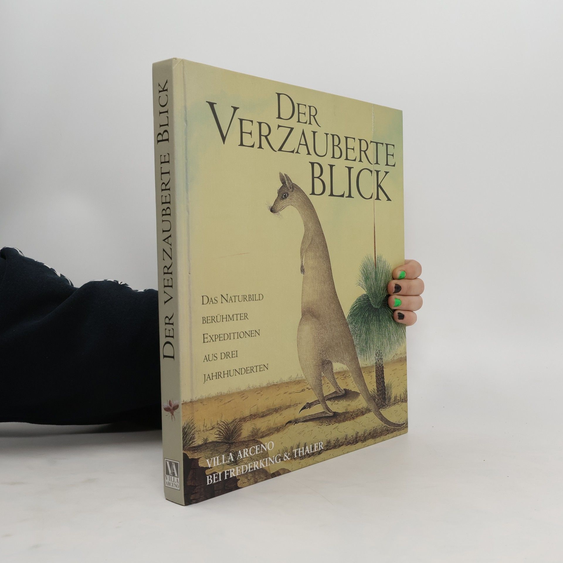 Anthony Rice Der verzauberte Blick