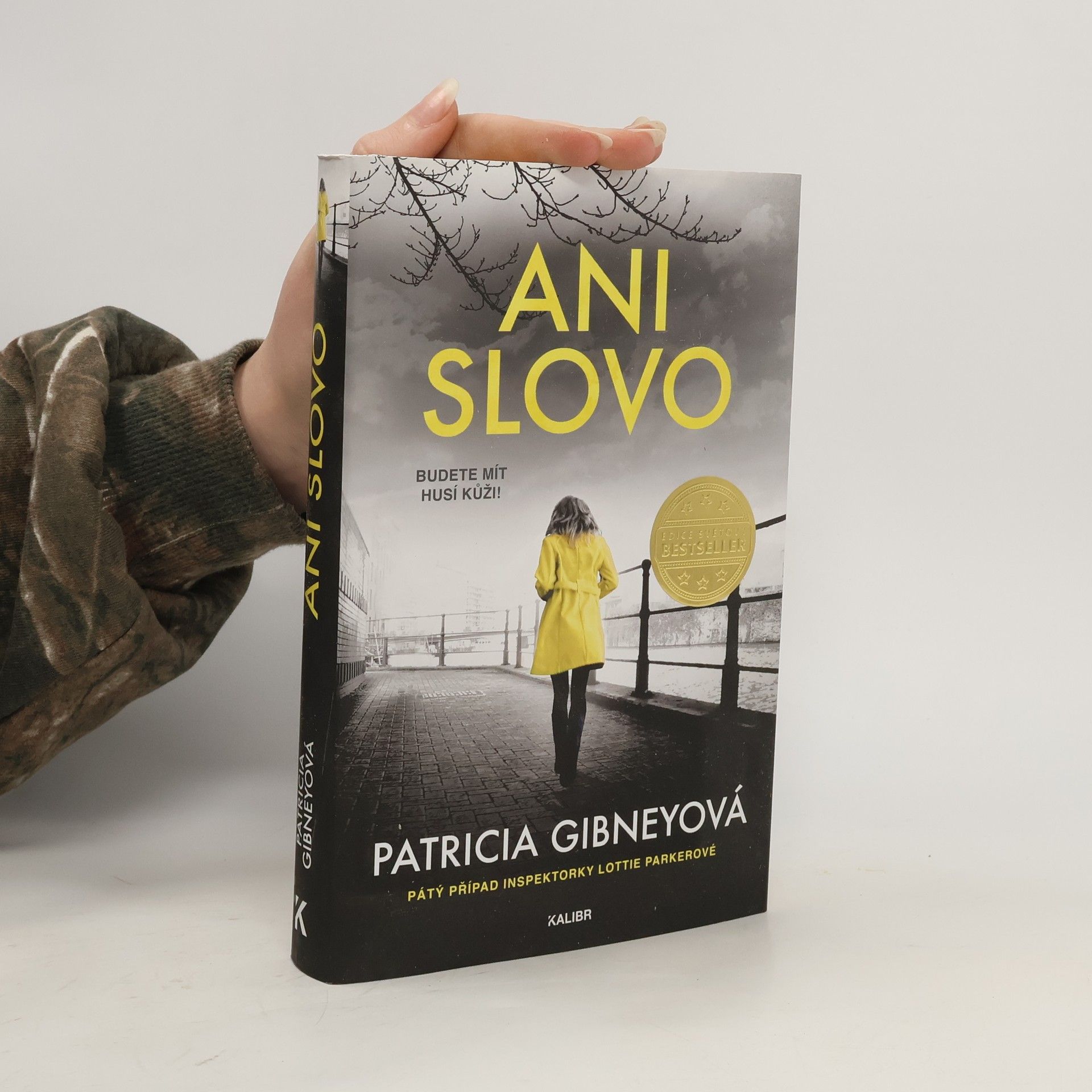 Patricia Gibney Ani slovo