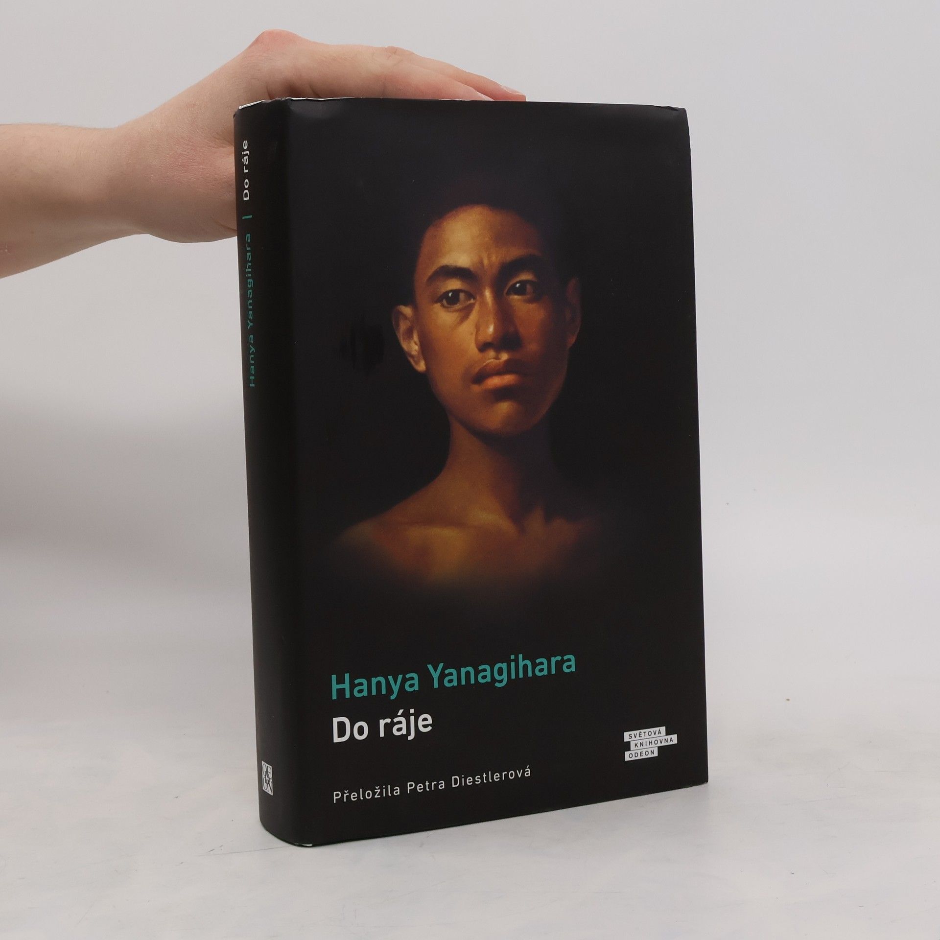 Hanya Yanagihara Do ráje
