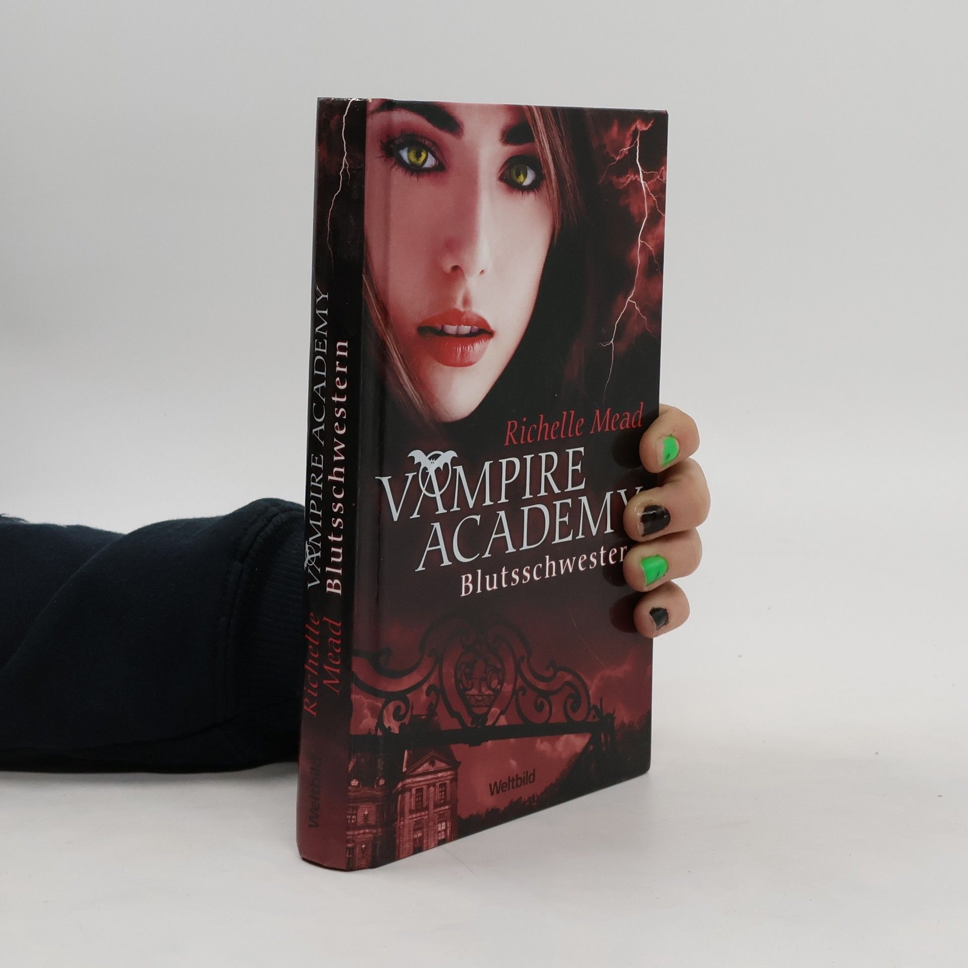 Richelle Mead Vampire Academy. Blutsschwestern