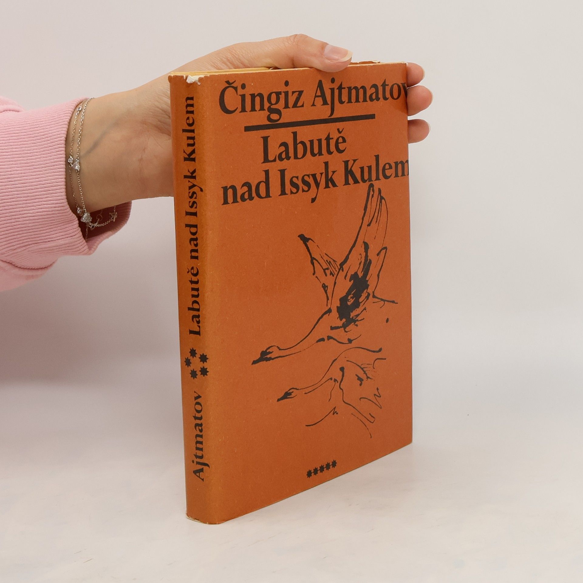 Čingiz Ajtmatov Labutě nad Issyk Kulem
