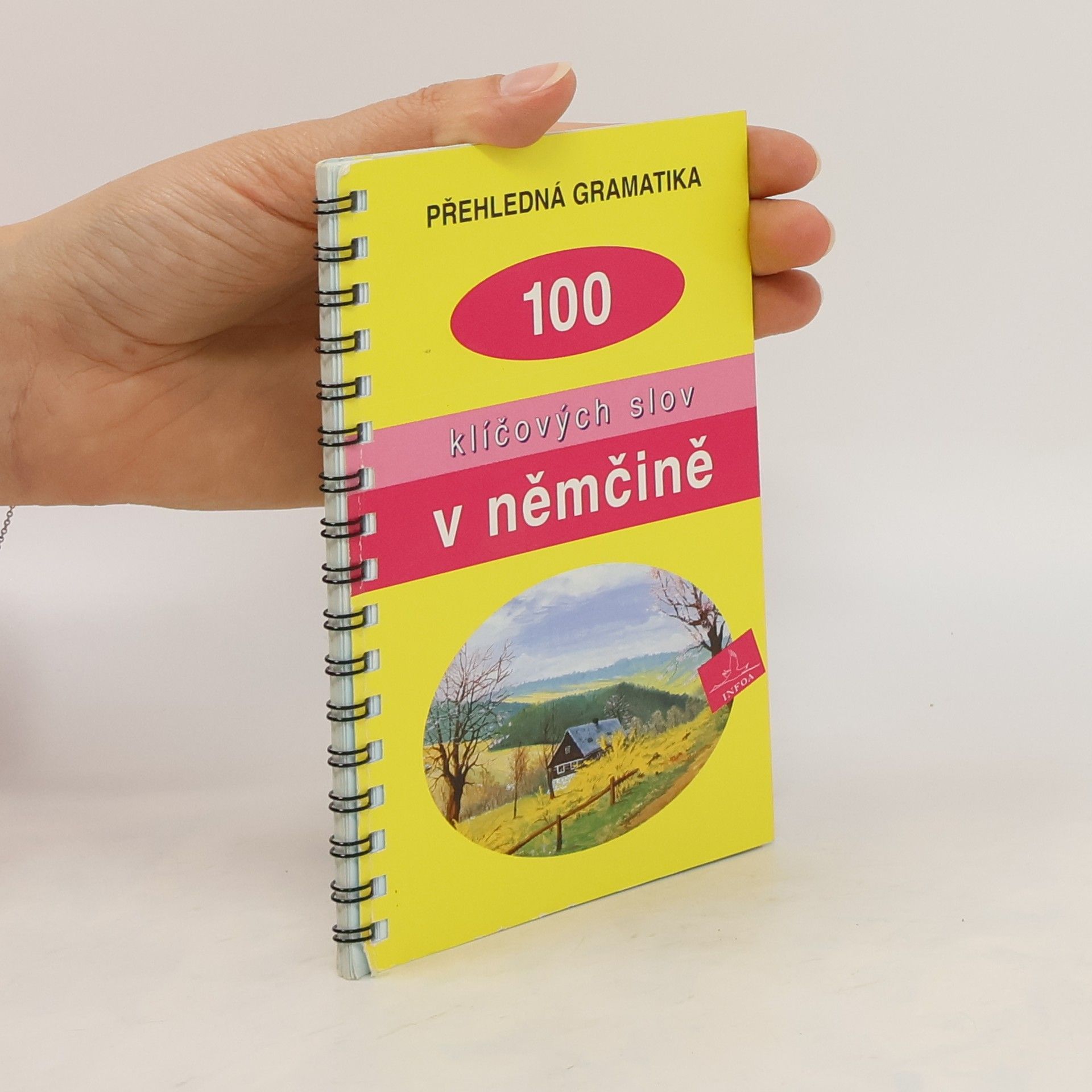 Václav Křupka Přehledná gramatika : 100 klíčových slov v němčině