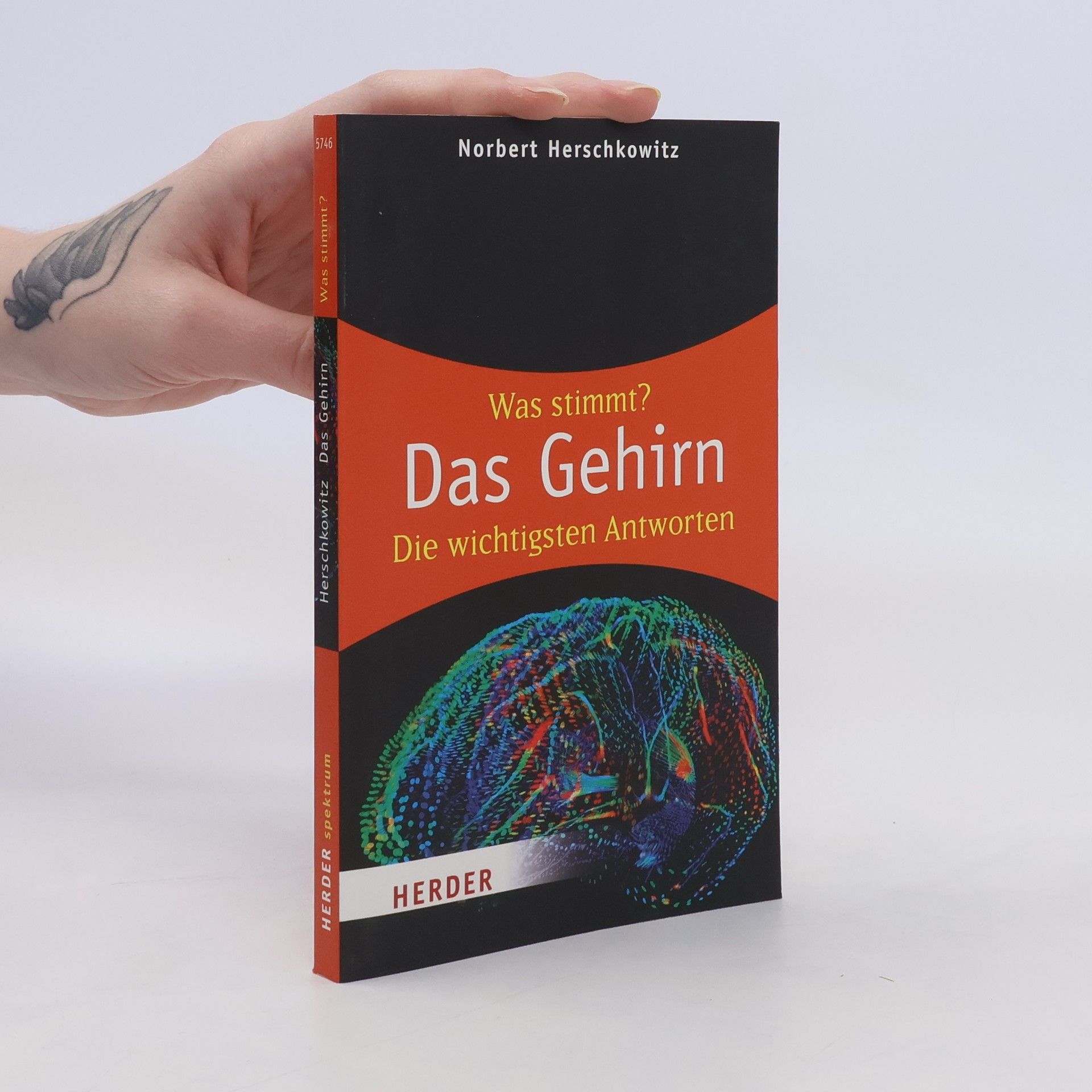 Norbert Herschkowitz Was stimmt? Das Gehirn