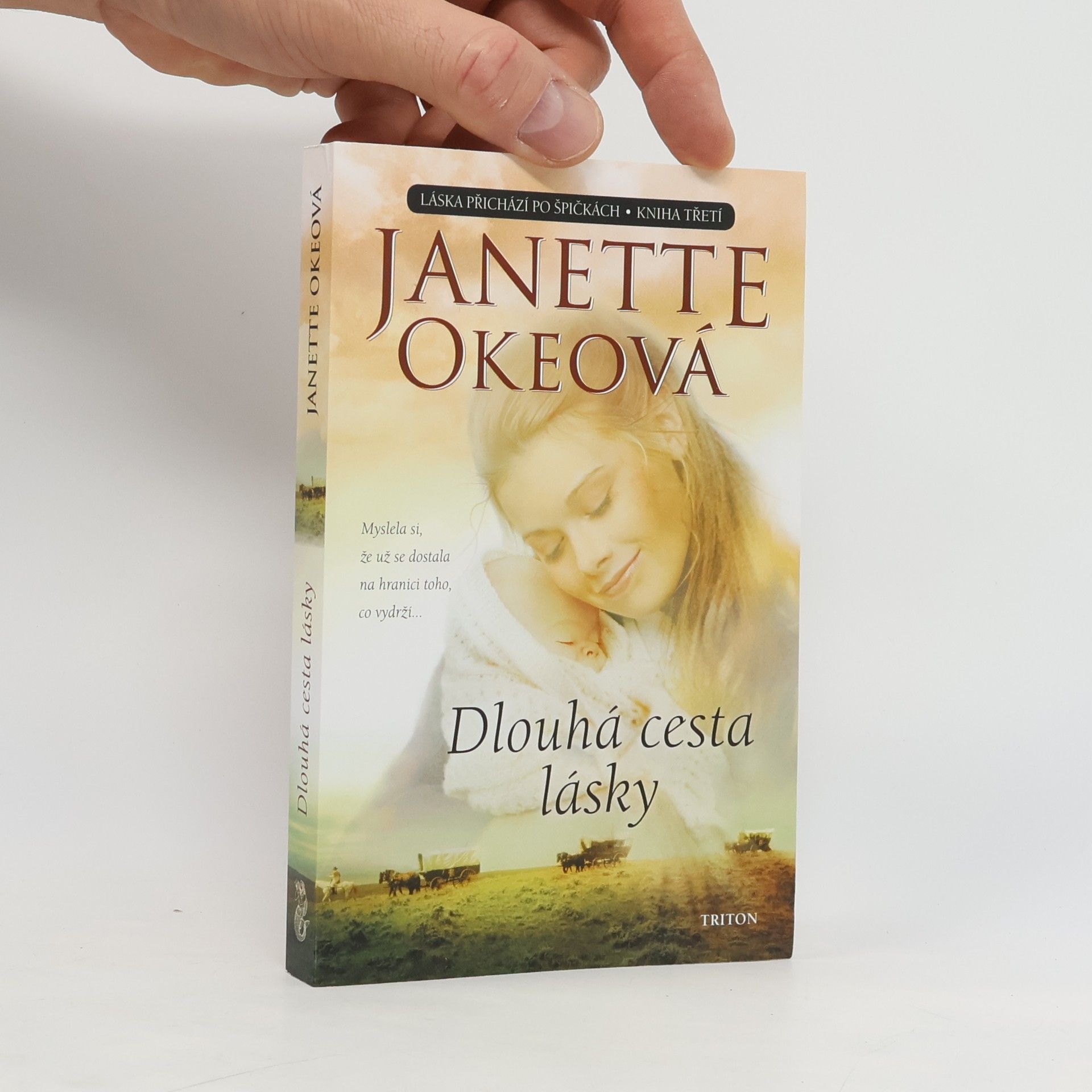 Janette Oke Dlouhá cesta lásky