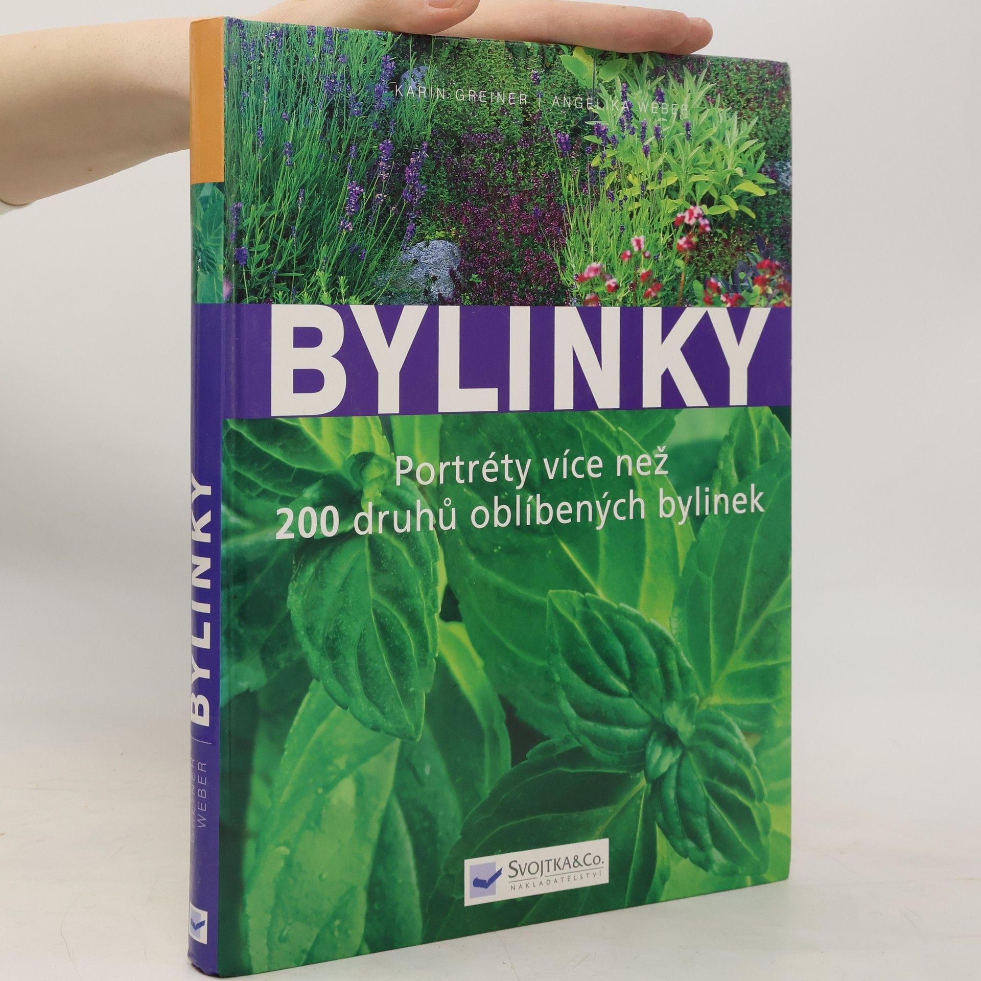 Karin Greiner Bylinky: Nová přehledná kniha s portréty více než 200 druhů oblíbených bylinek