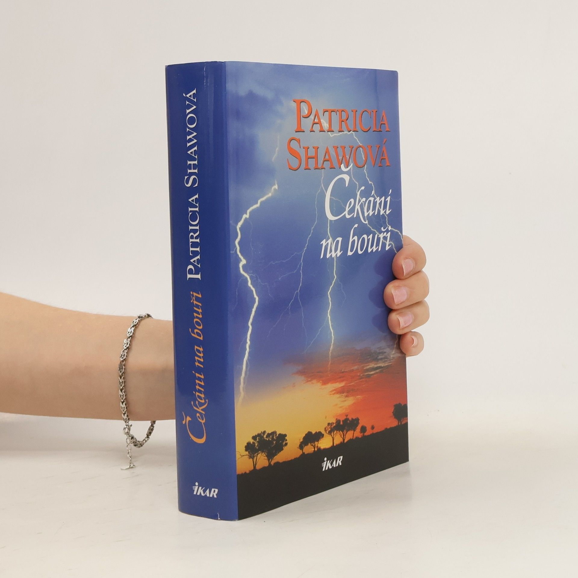 Patricia Shaw Čekání na bouři
