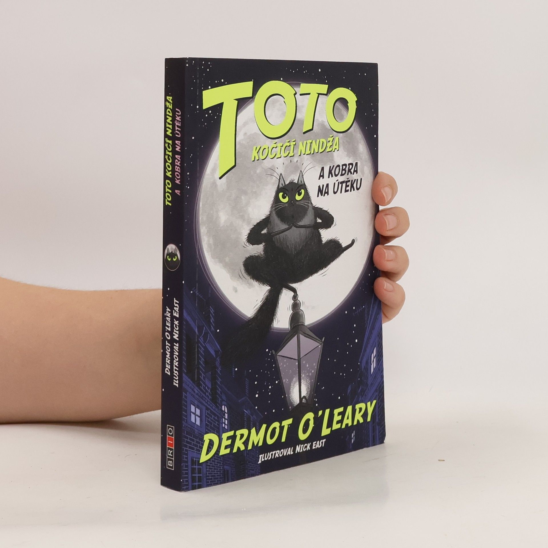 Dermot O\'Leary Toto kočičí nindža a kobra na útěku