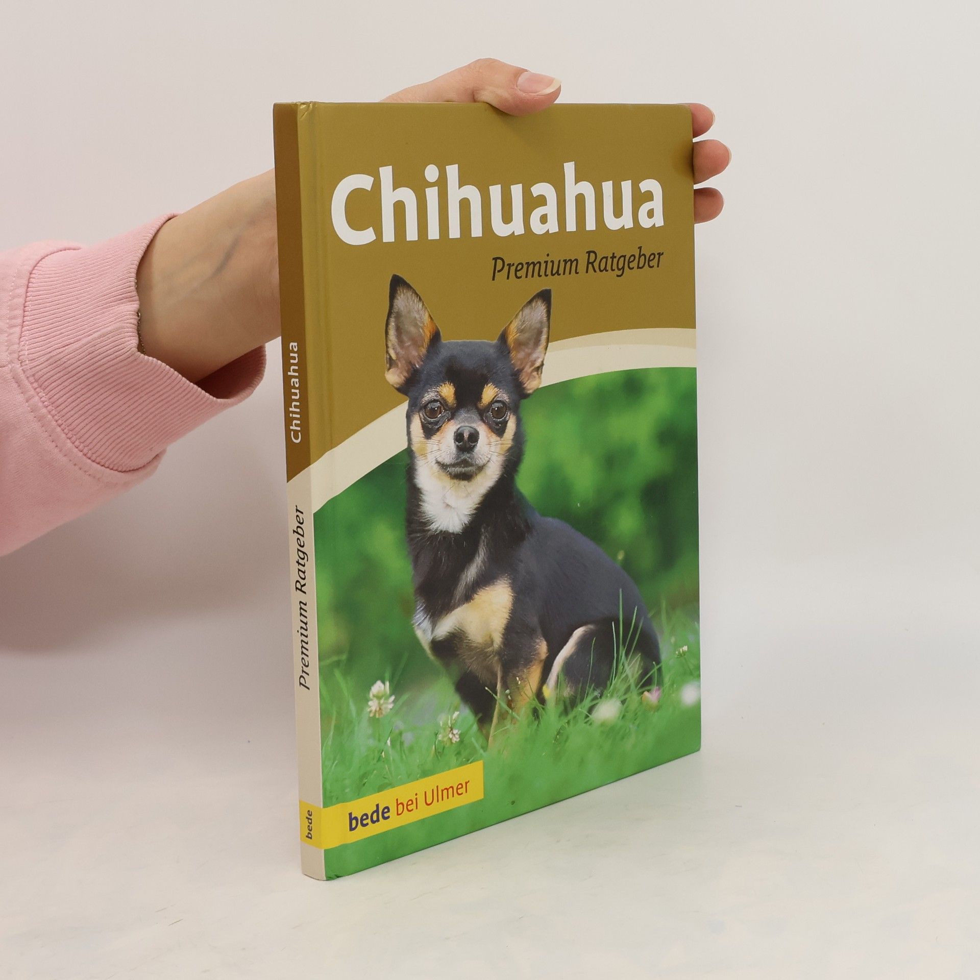 Autorenkollektiv Chihuahua
