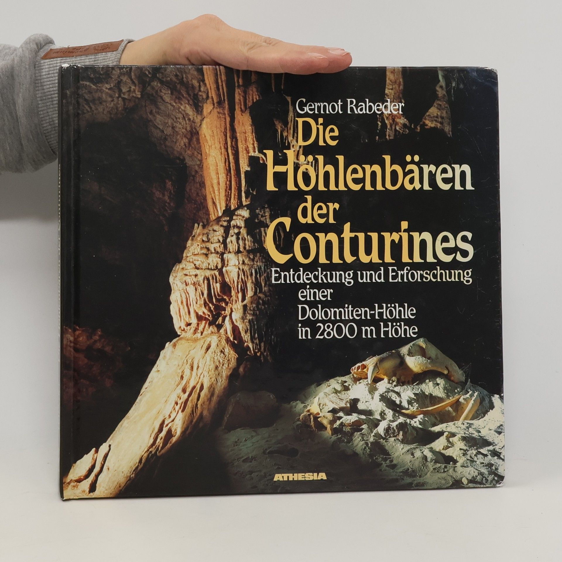 Gernot Rabeder Die Höhlenbären der Conturines