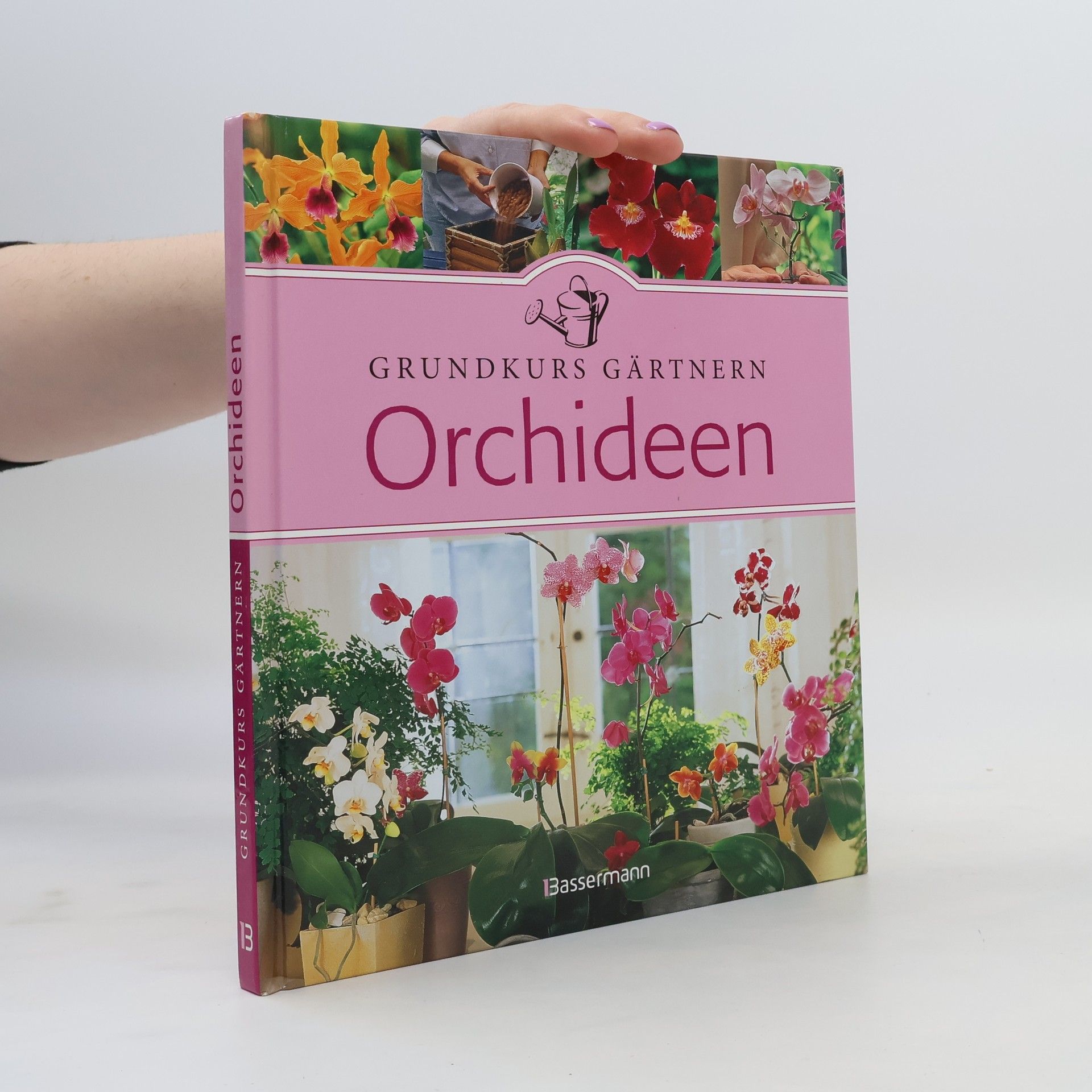 Bénédicte Boudassou Orchideen