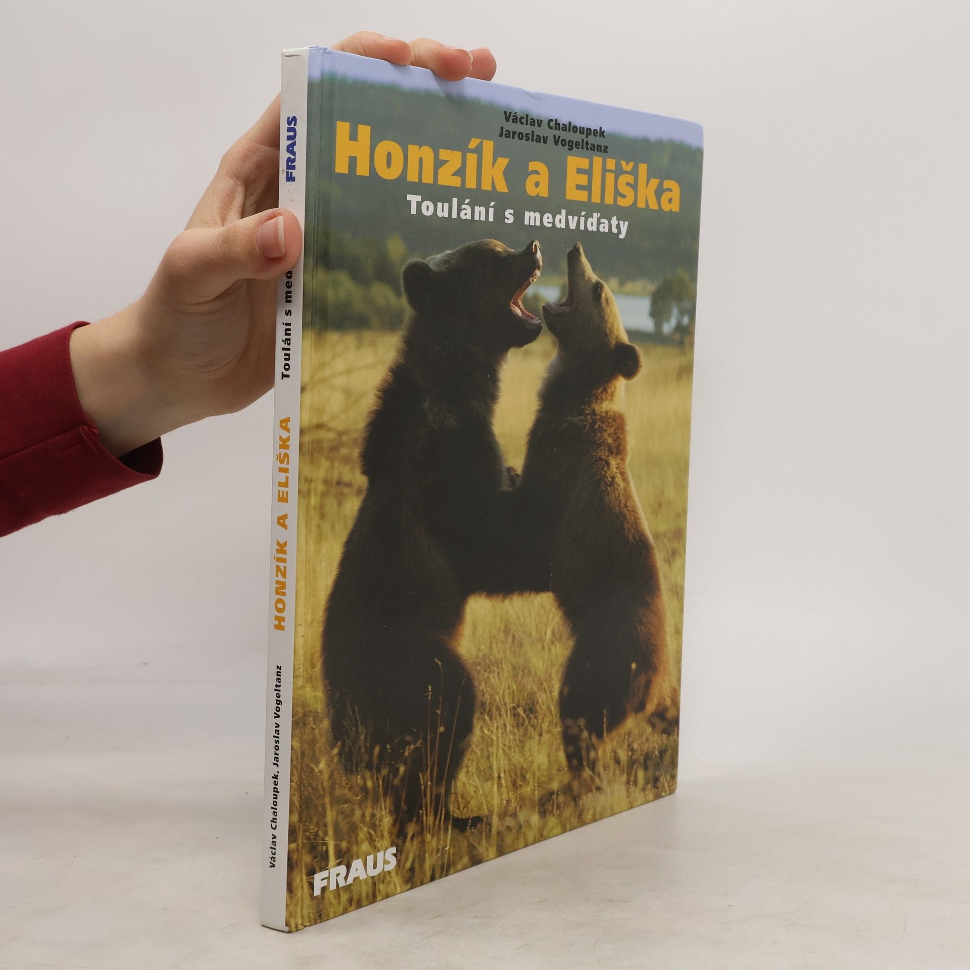 Jaroslav Vogeltanz Honzík a Eliška. Toulání s medvíďaty