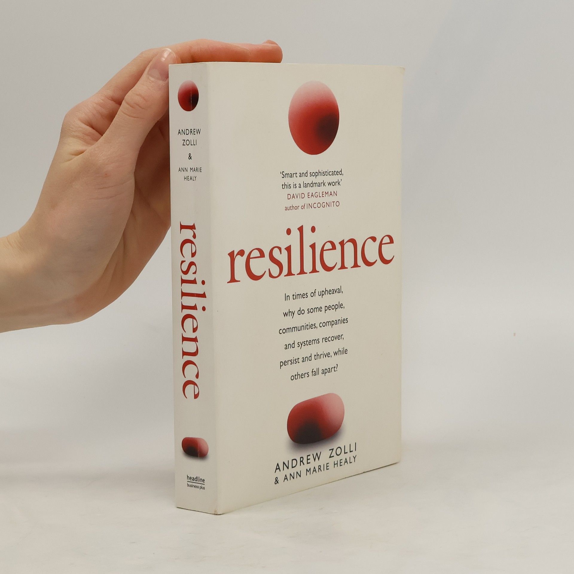 Andrew Zolli Resilience