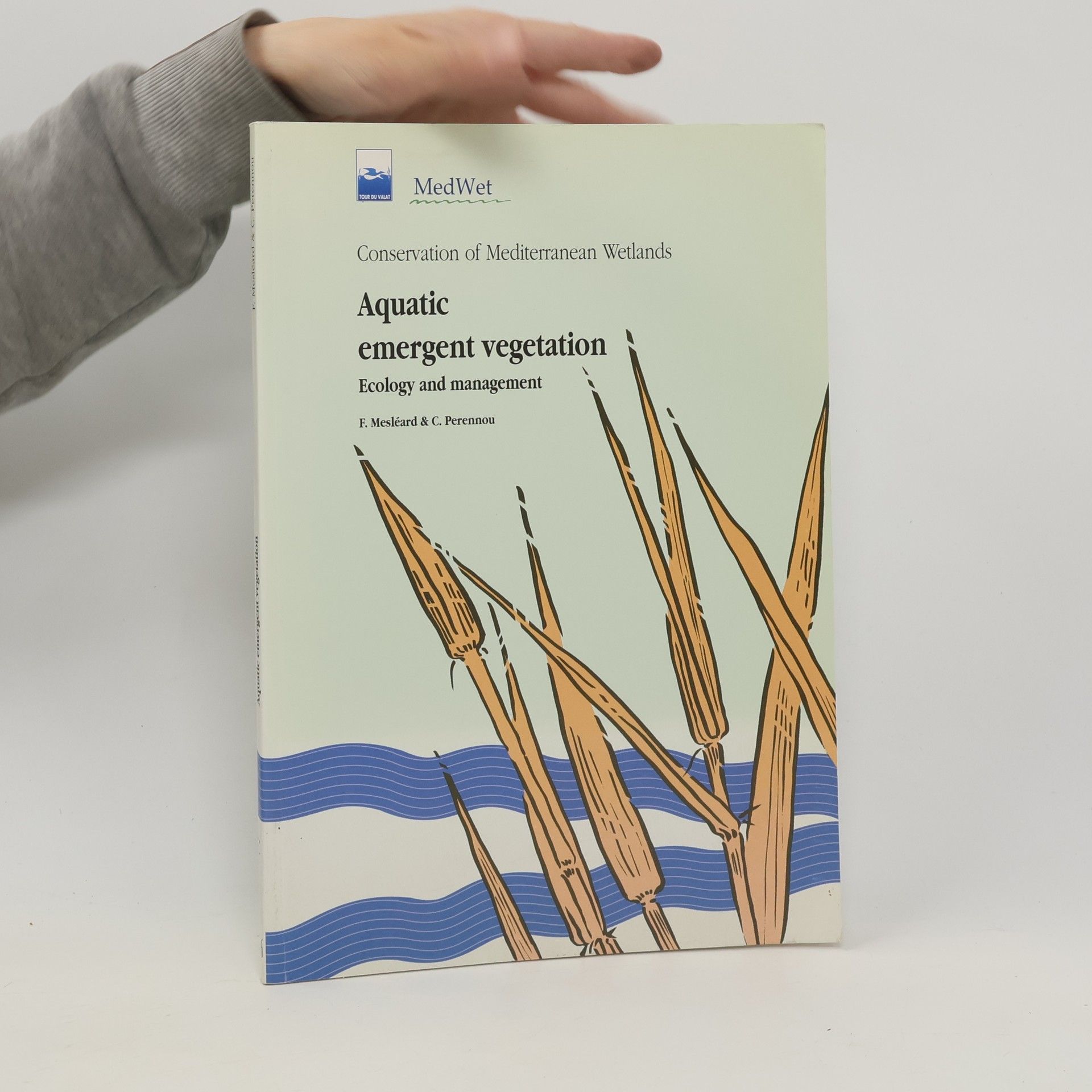 François Mesléard Aquatic Emergent Vegetation
