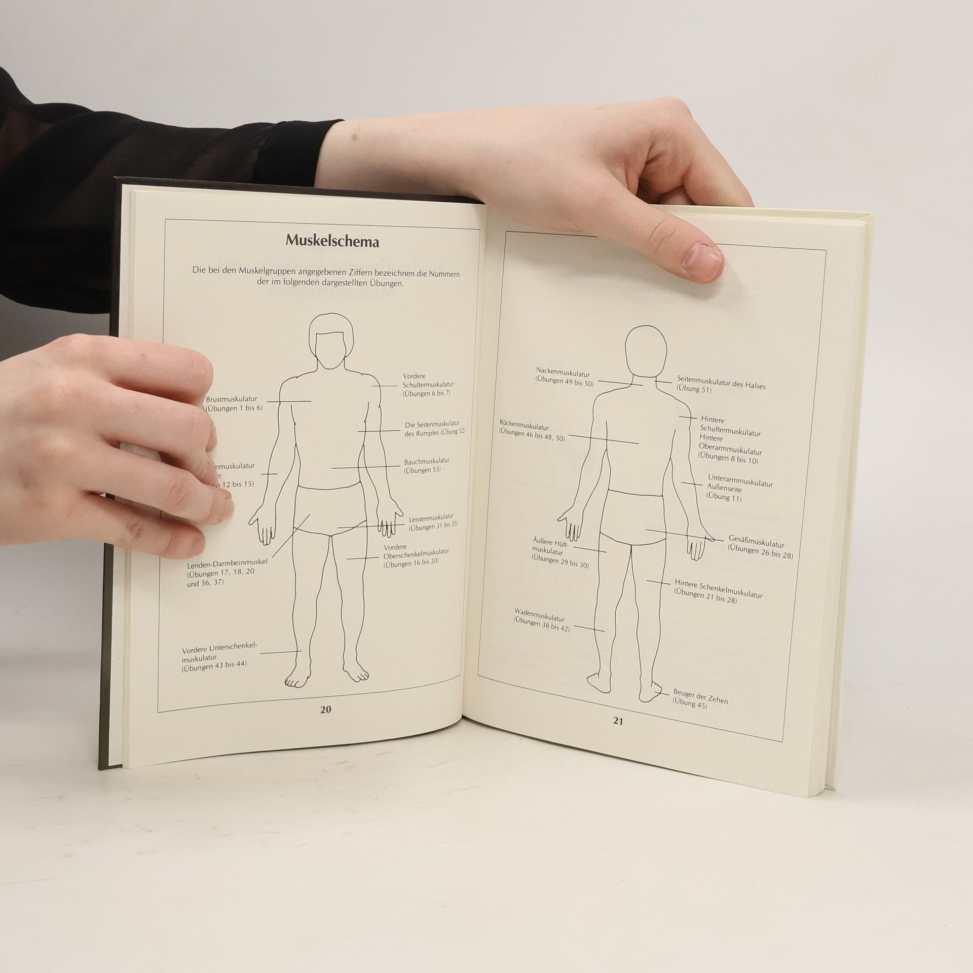 Sven-A. Sölveborn Das Buch vom Stretching
