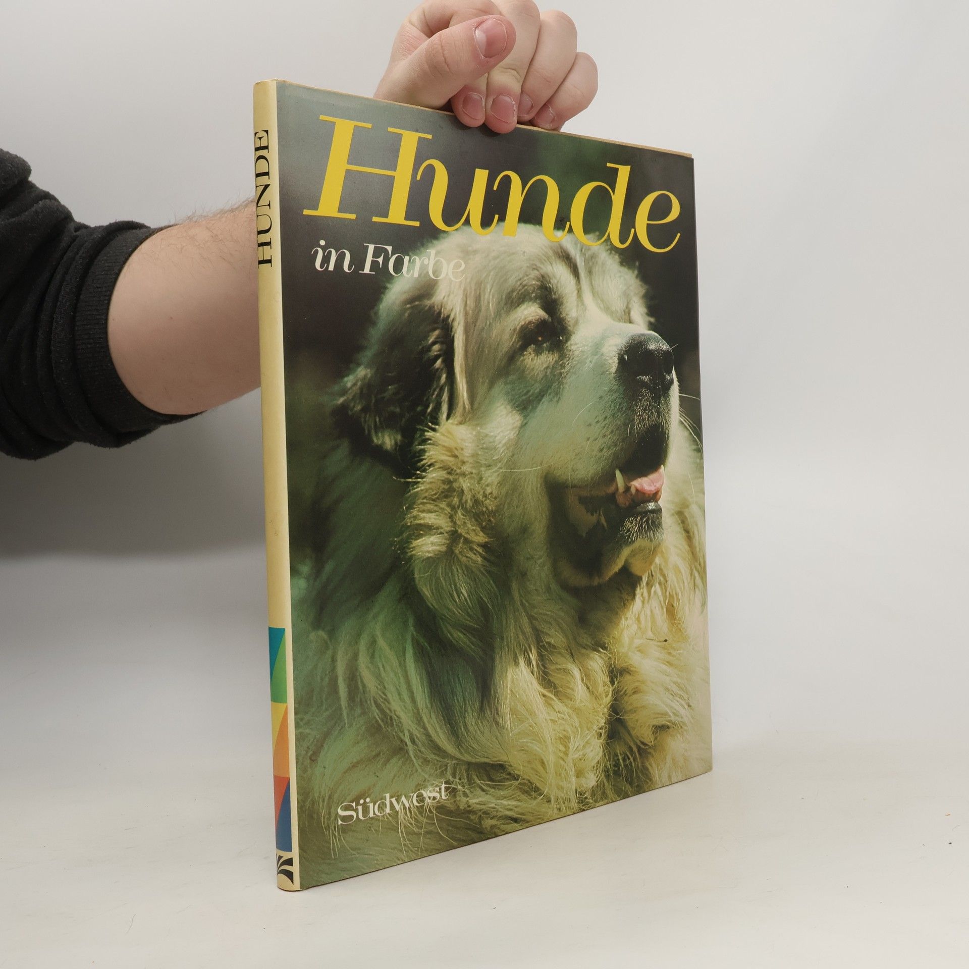 Wendy Boorer Hunde in Farbe