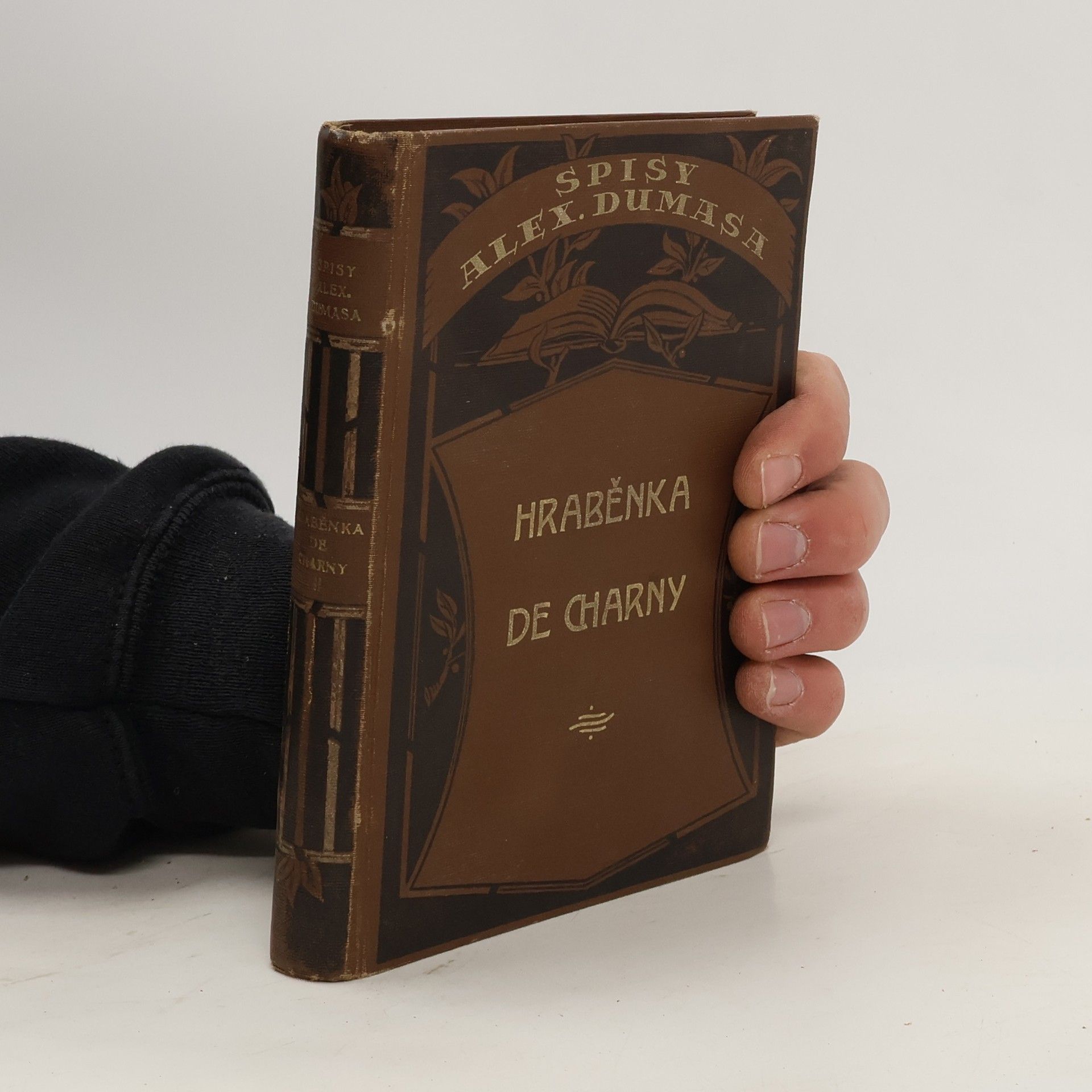 Alexandre Dumas Hraběnka de Charny II.