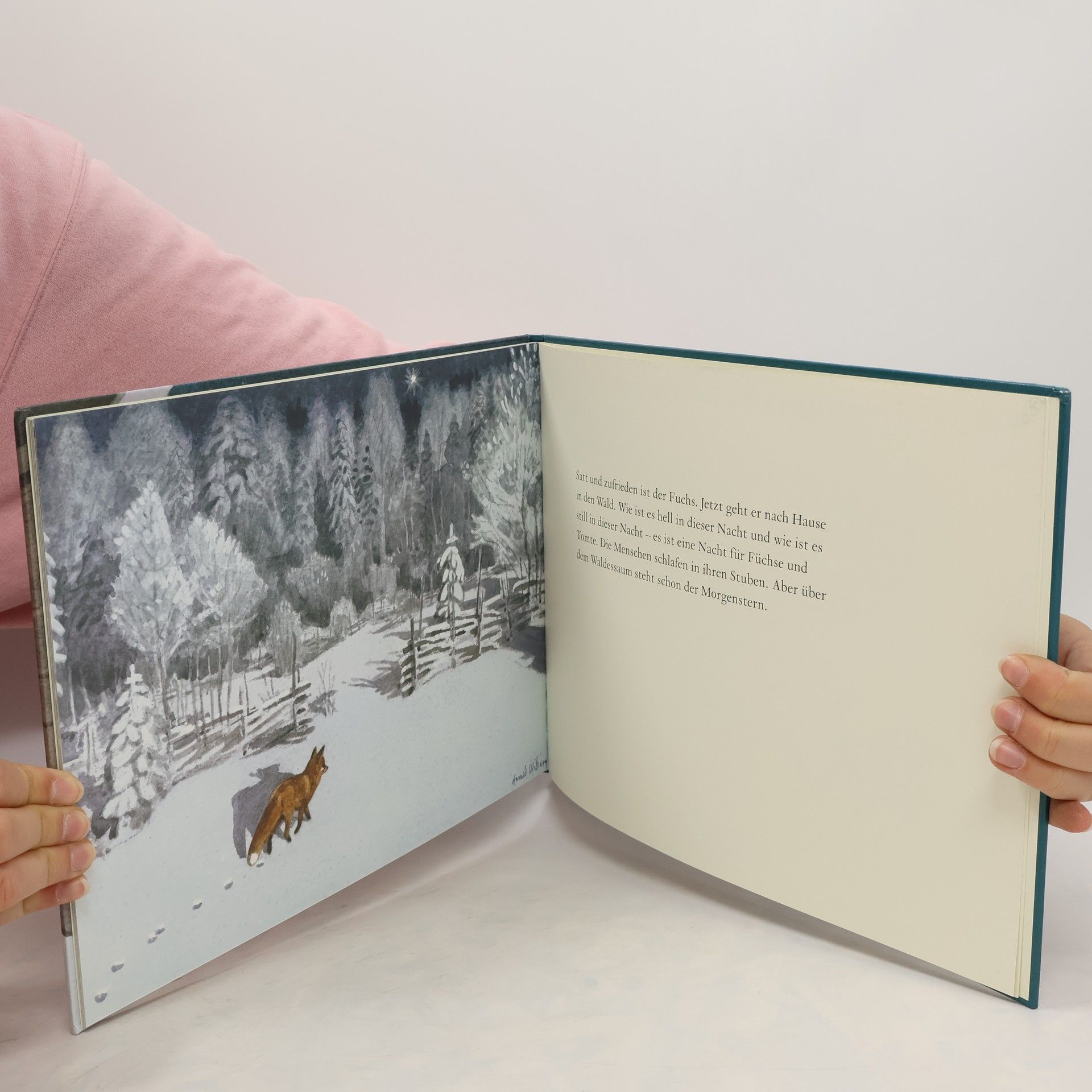 Astrid Lindgren Tomte und der Fuchs