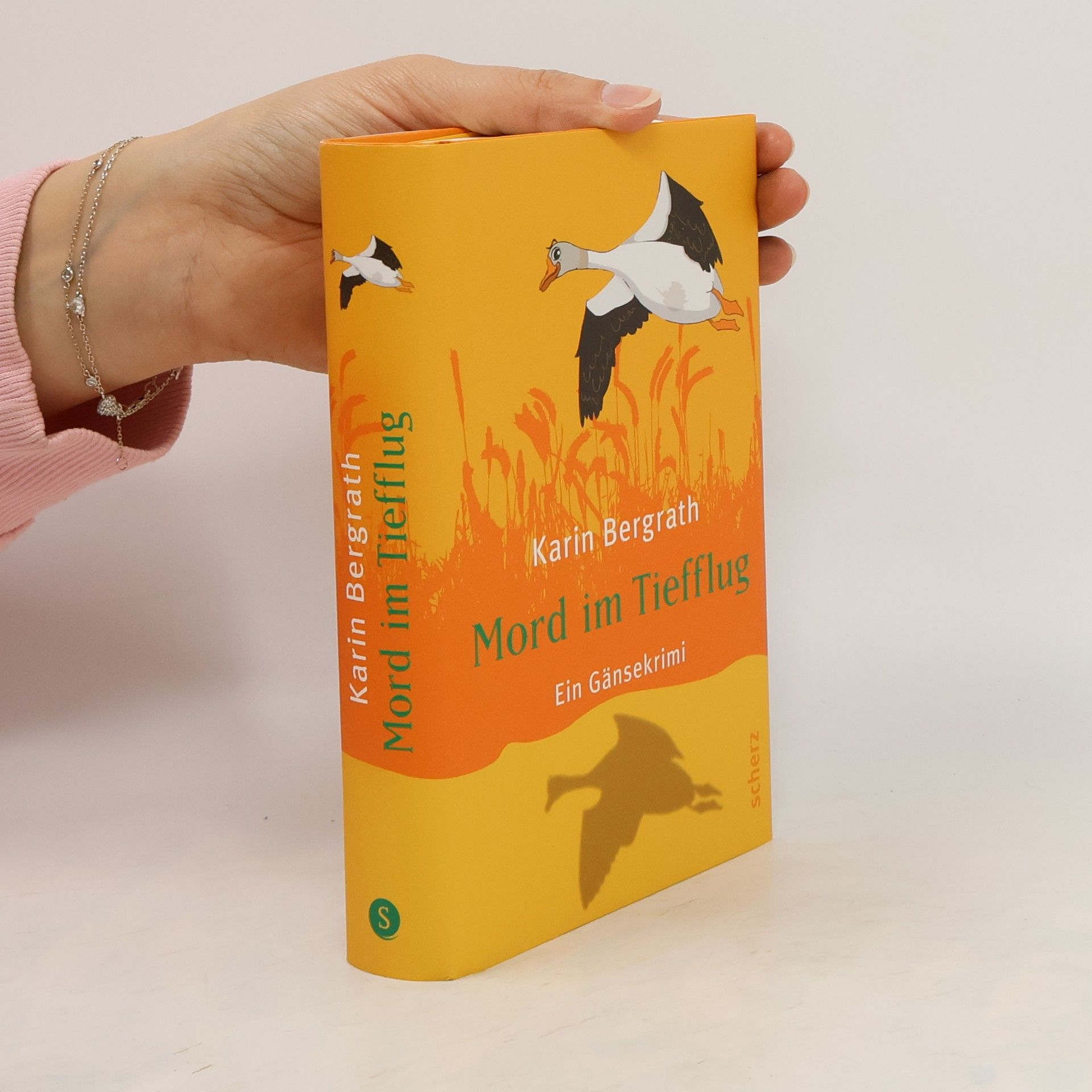Karin Bergrath Mord im Tiefflug