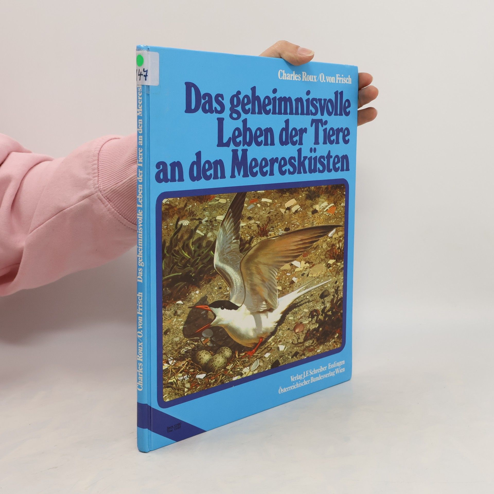 Charles Roux Das geheimnisvolle Leben der Tiere an den Meeresküsten