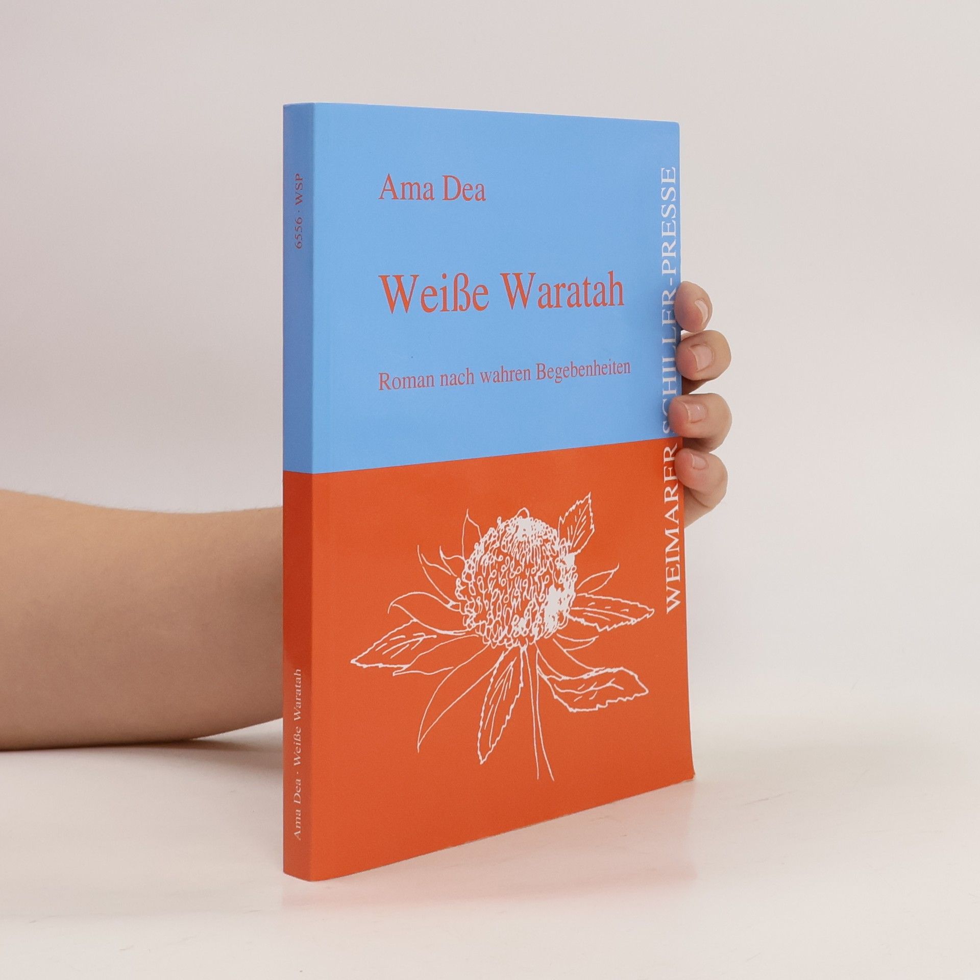 Ama Dea Weiße Waratah