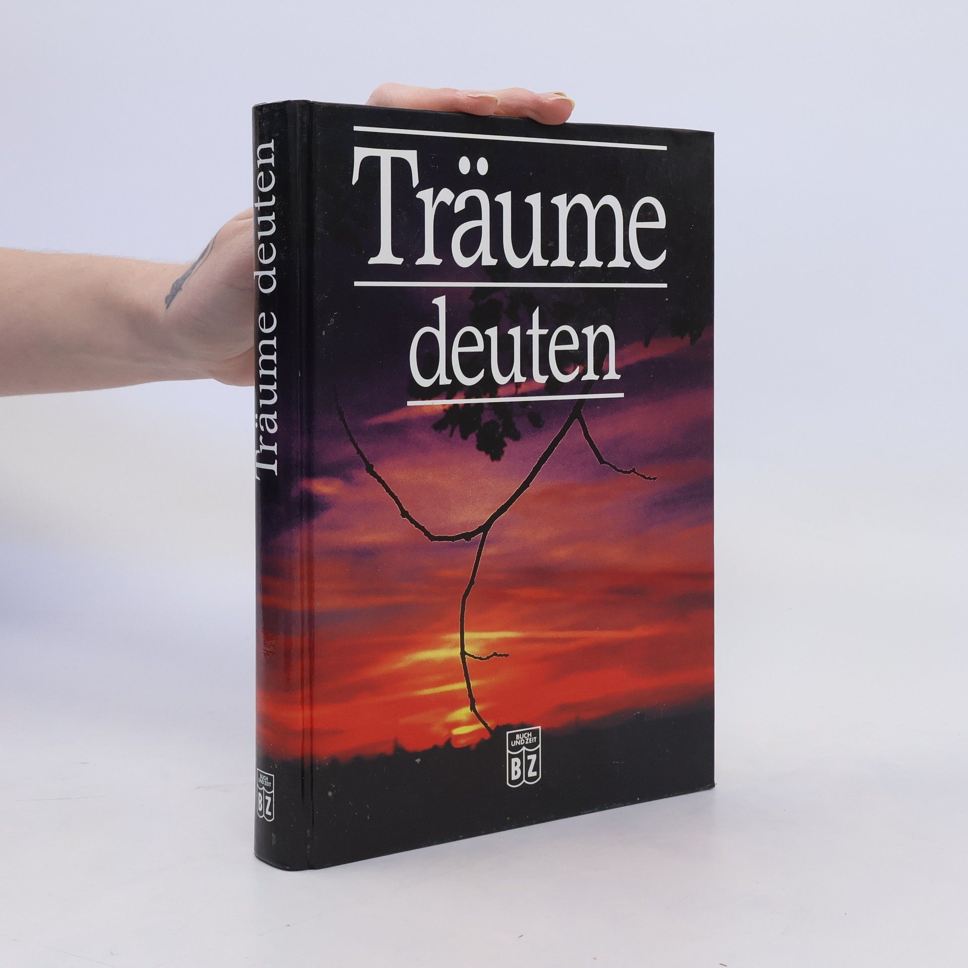 Rolf Faller Träume deuten