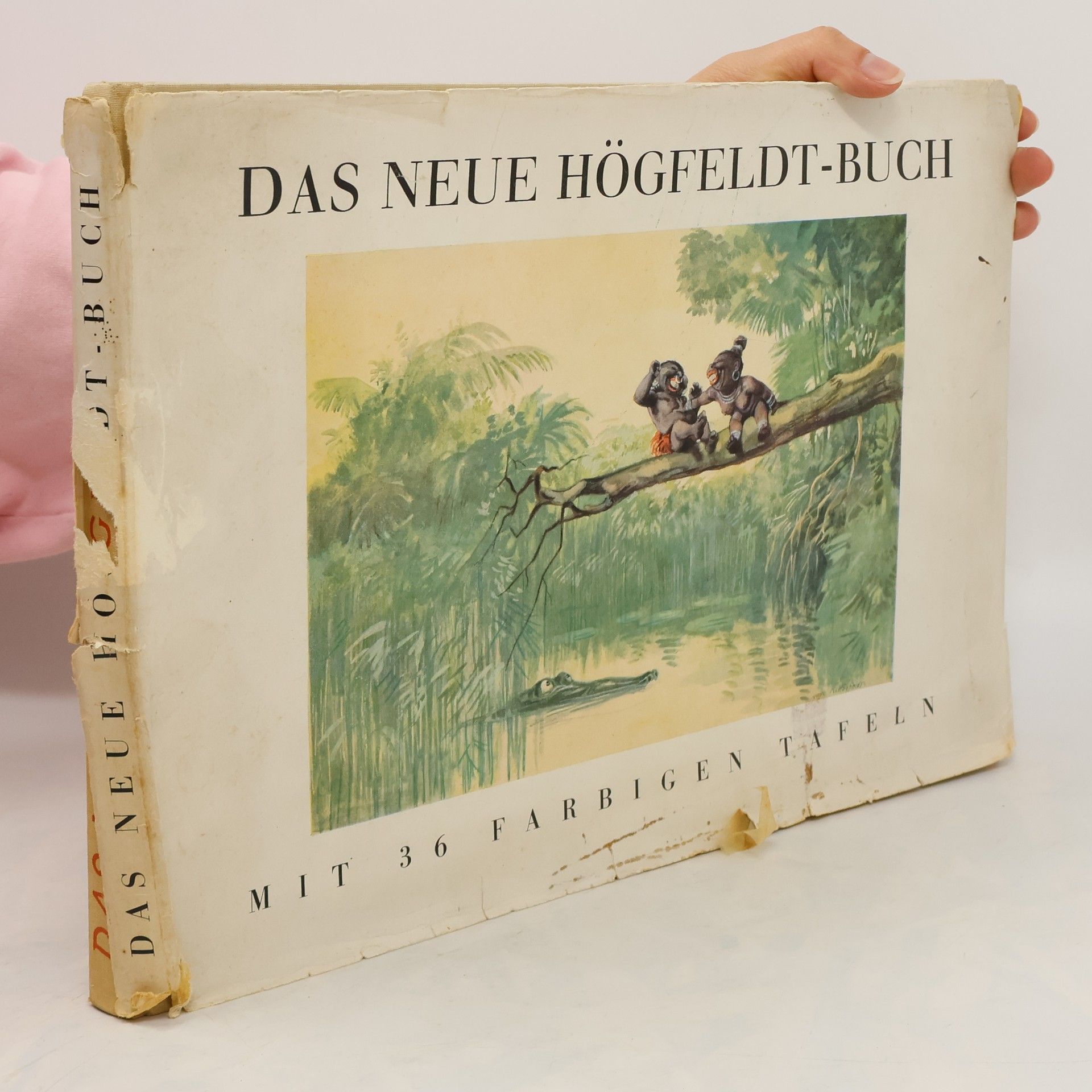 Autorenkollektiv Das neue Högfeldt-Buch
