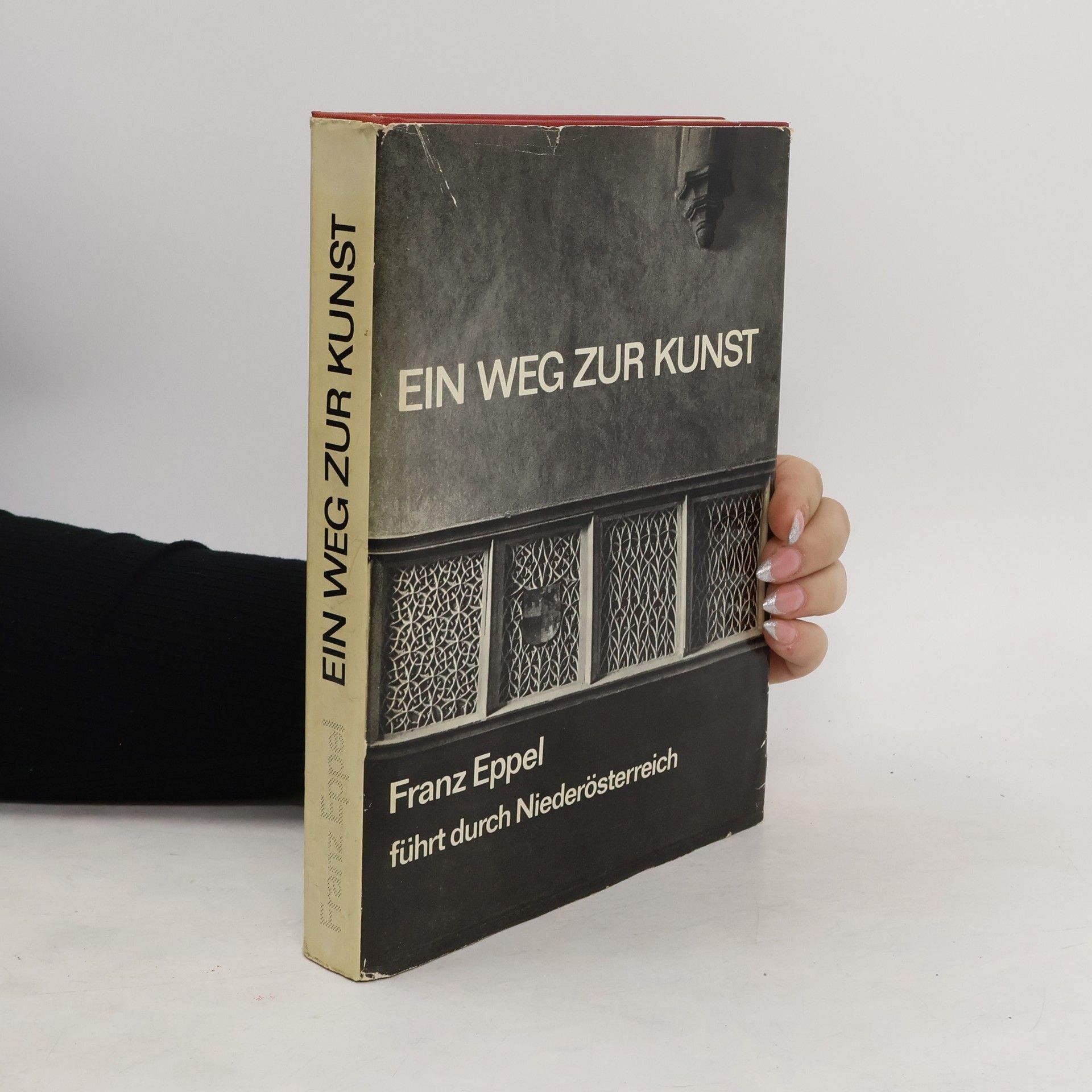 Franz Eppel Ein Weg zur Kunst
