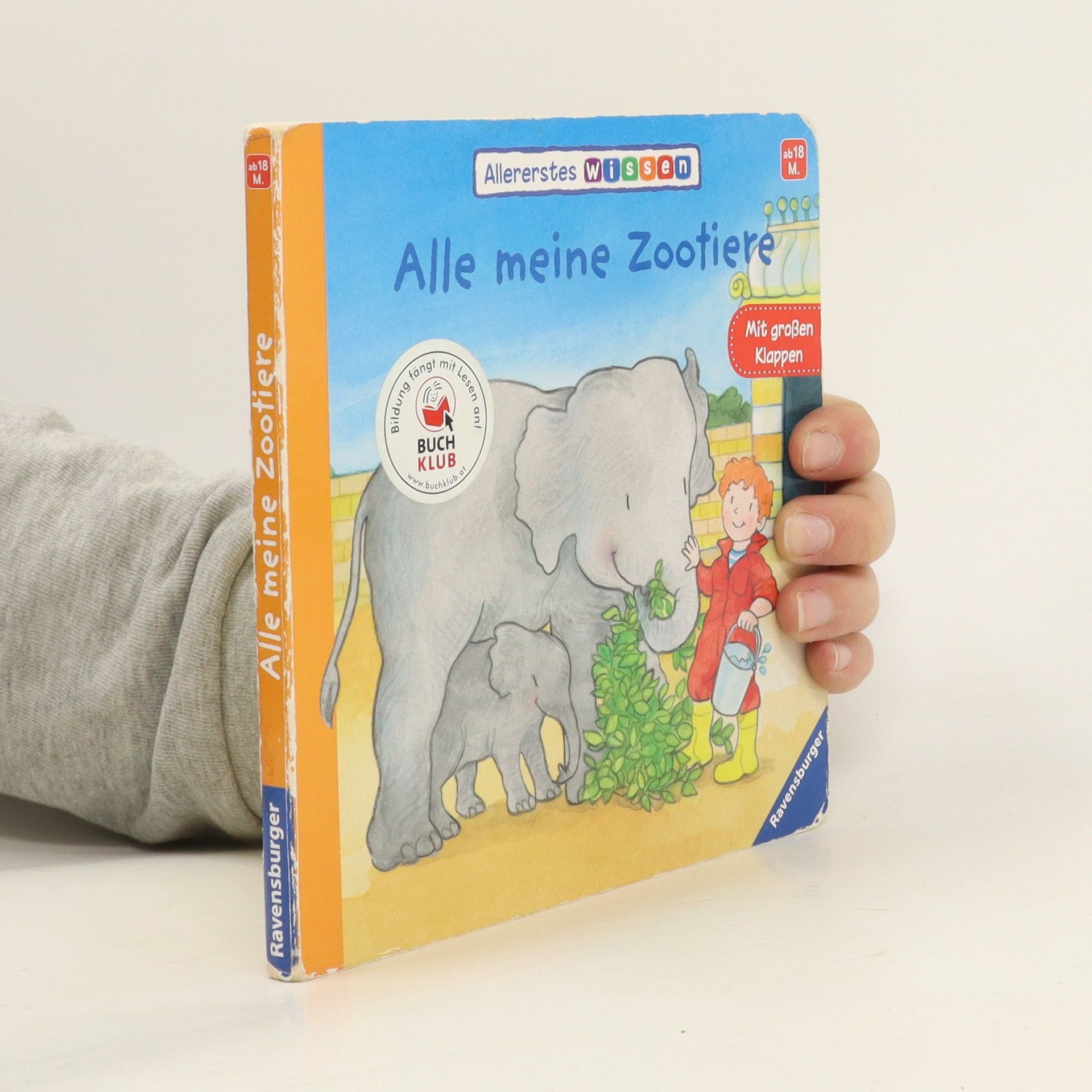 Martina Kohl Alle meine Zootiere